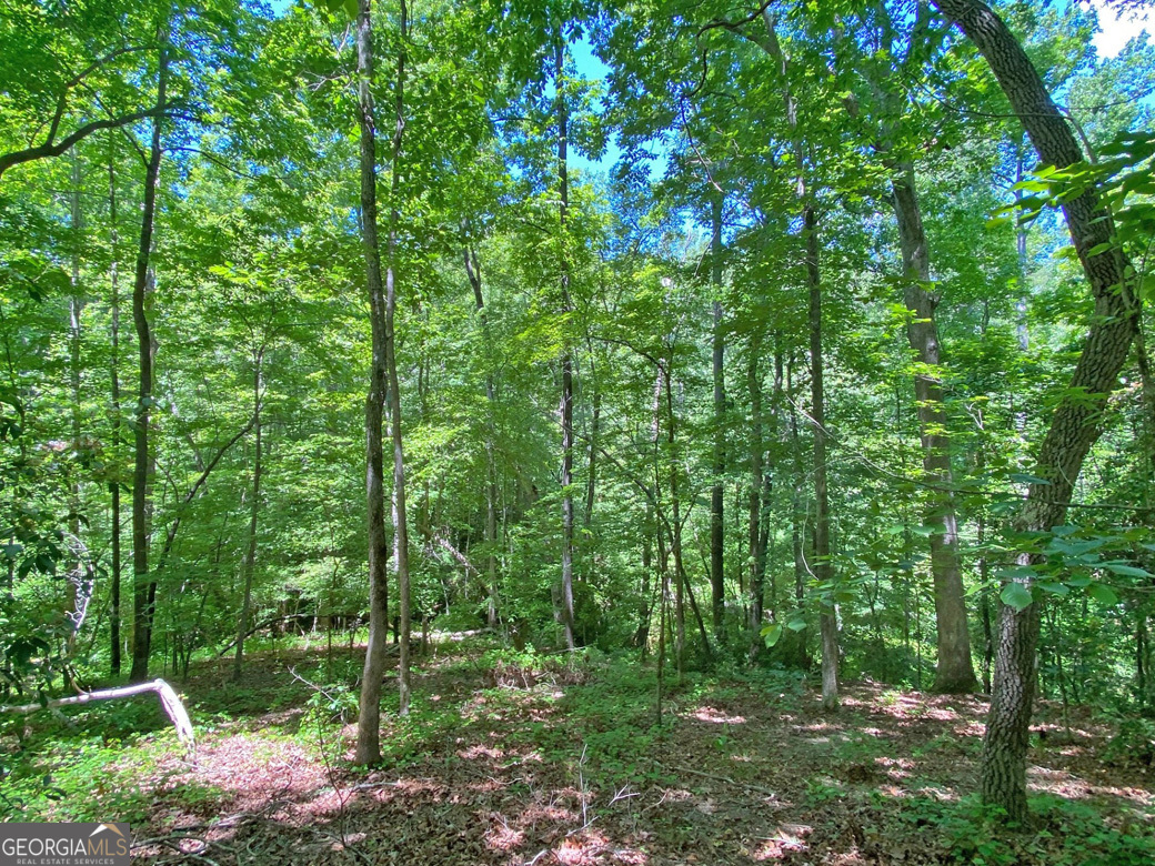 0 Hickory Nut Trail Property Photo 1