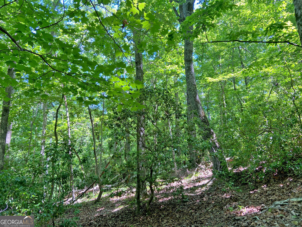 0 Hickory Nut Trail Property Photo 2
