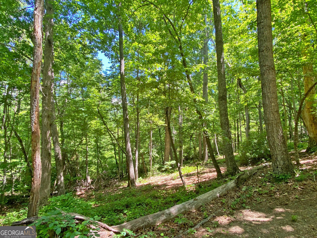 0 Hickory Nut Trail Property Photo 3