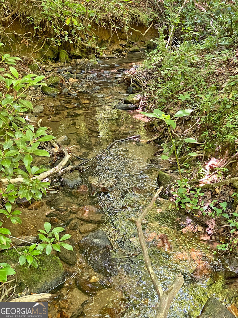 0 Hickory Nut Trail Property Photo 5