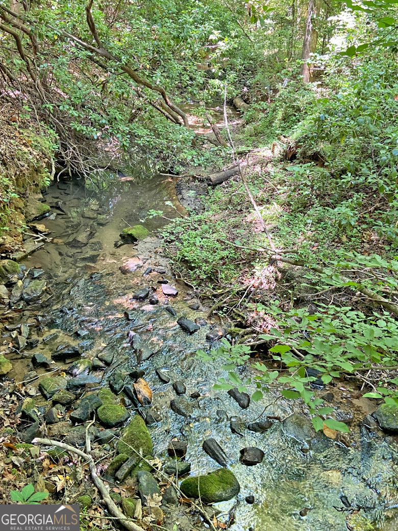 0 Hickory Nut Trail Property Photo 8
