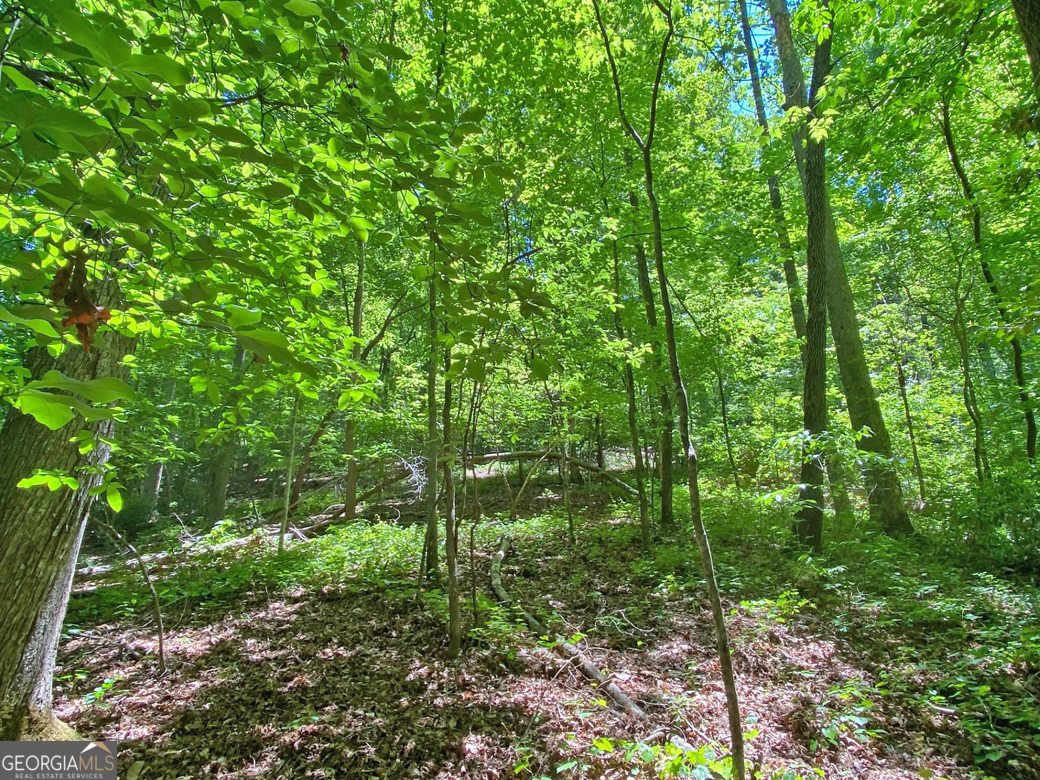 0 Hickory Nut Trail Property Photo 9