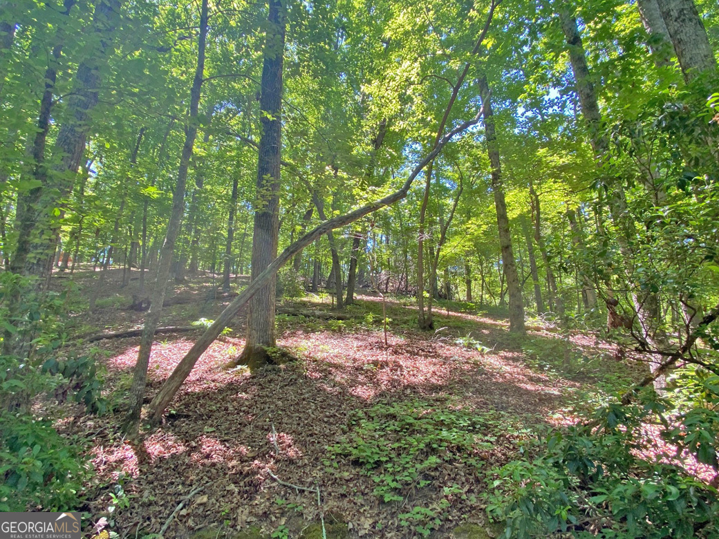 0 Hickory Nut Trail Property Photo 10