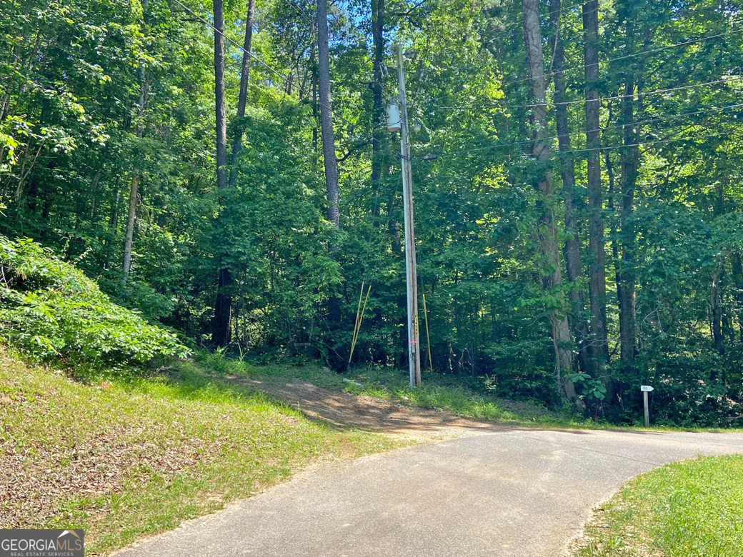 0 Hickory Nut Trail Property Photo 11