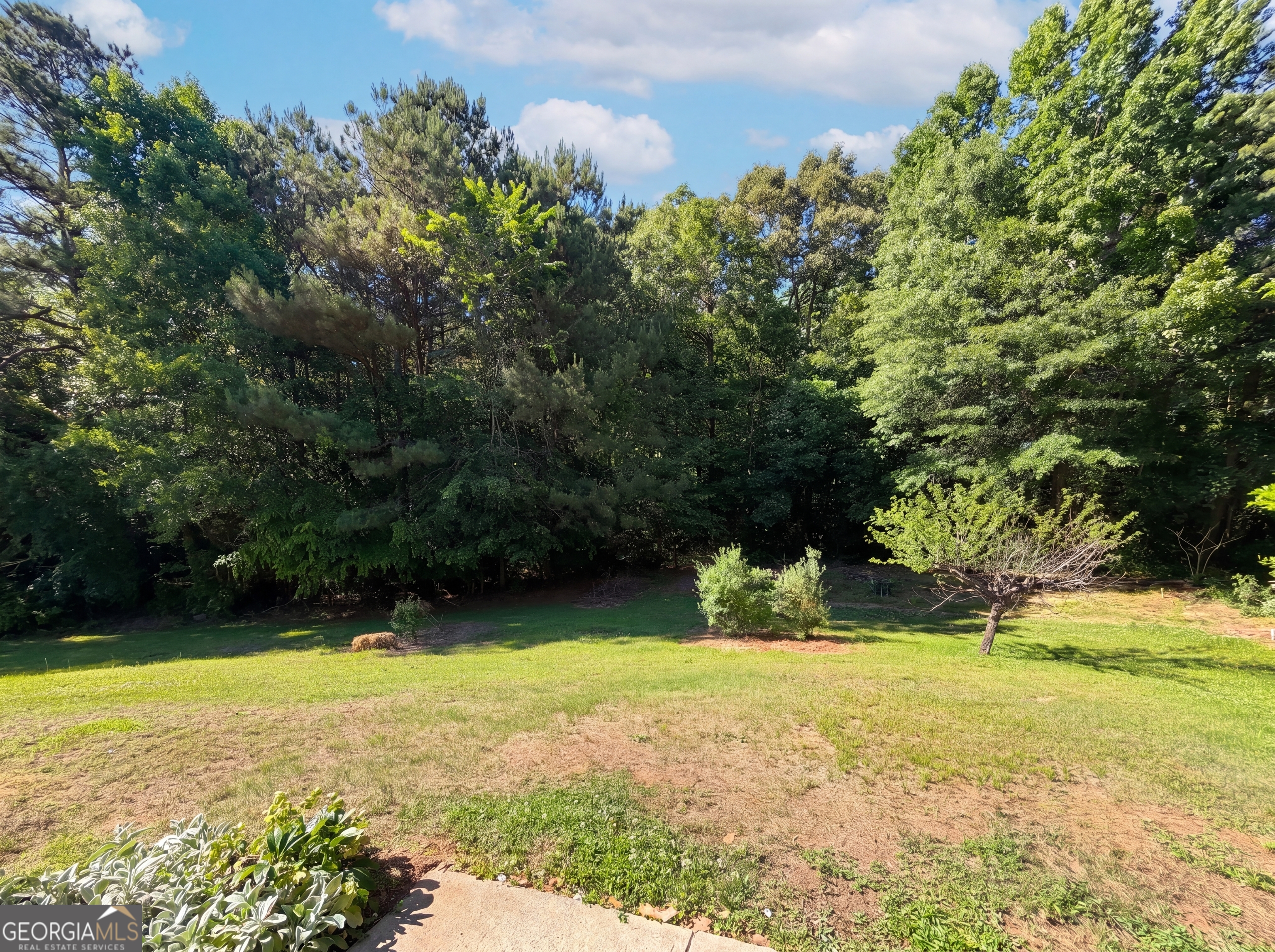202 Bluff Court Property Photo 17