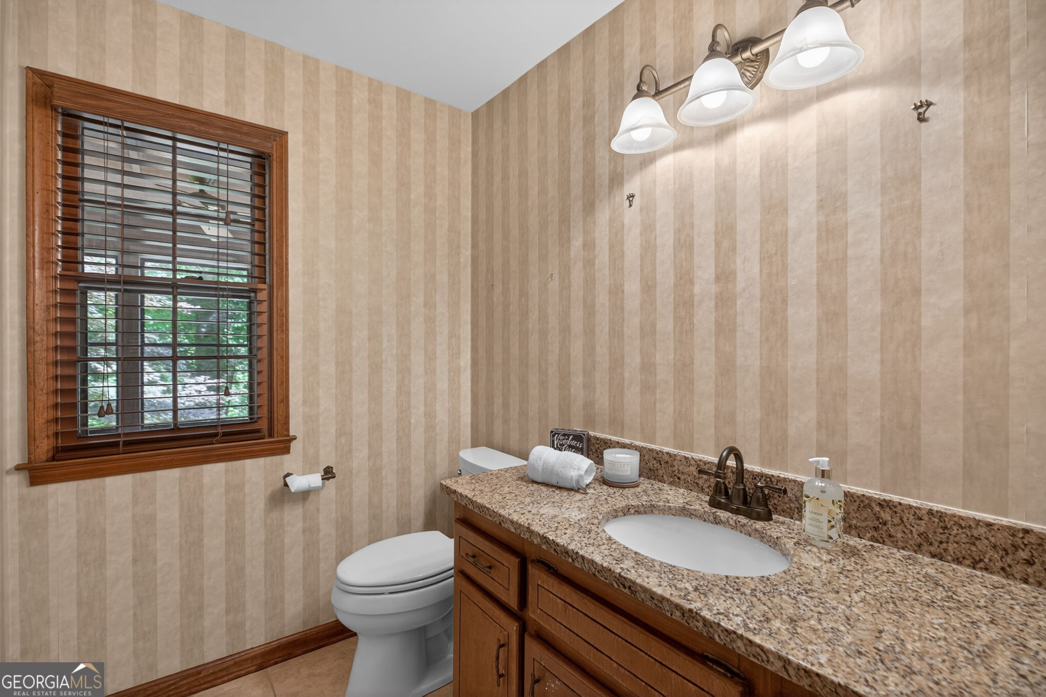 233 Shadowlake Court Property Photo 20