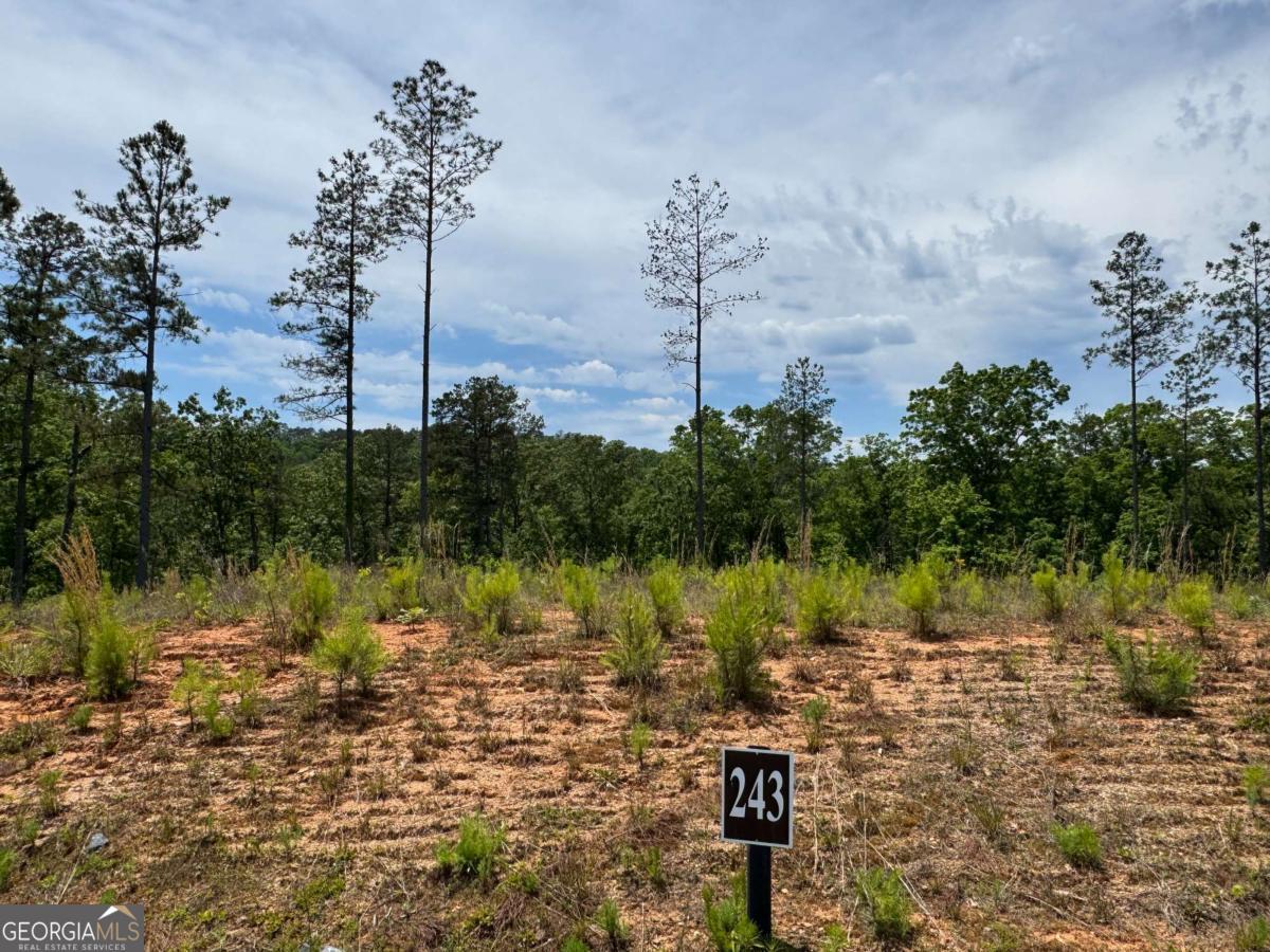 LOT 243 Spear Point Drive Property Photo 1