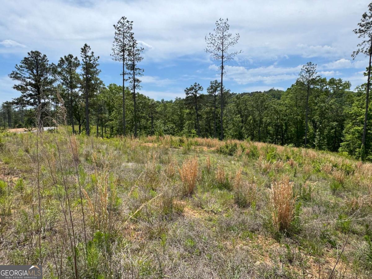 Lot 243 Spear Point Drive Property Photo 2