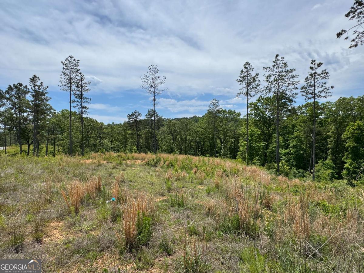Lot 243 Spear Point Drive Property Photo 3