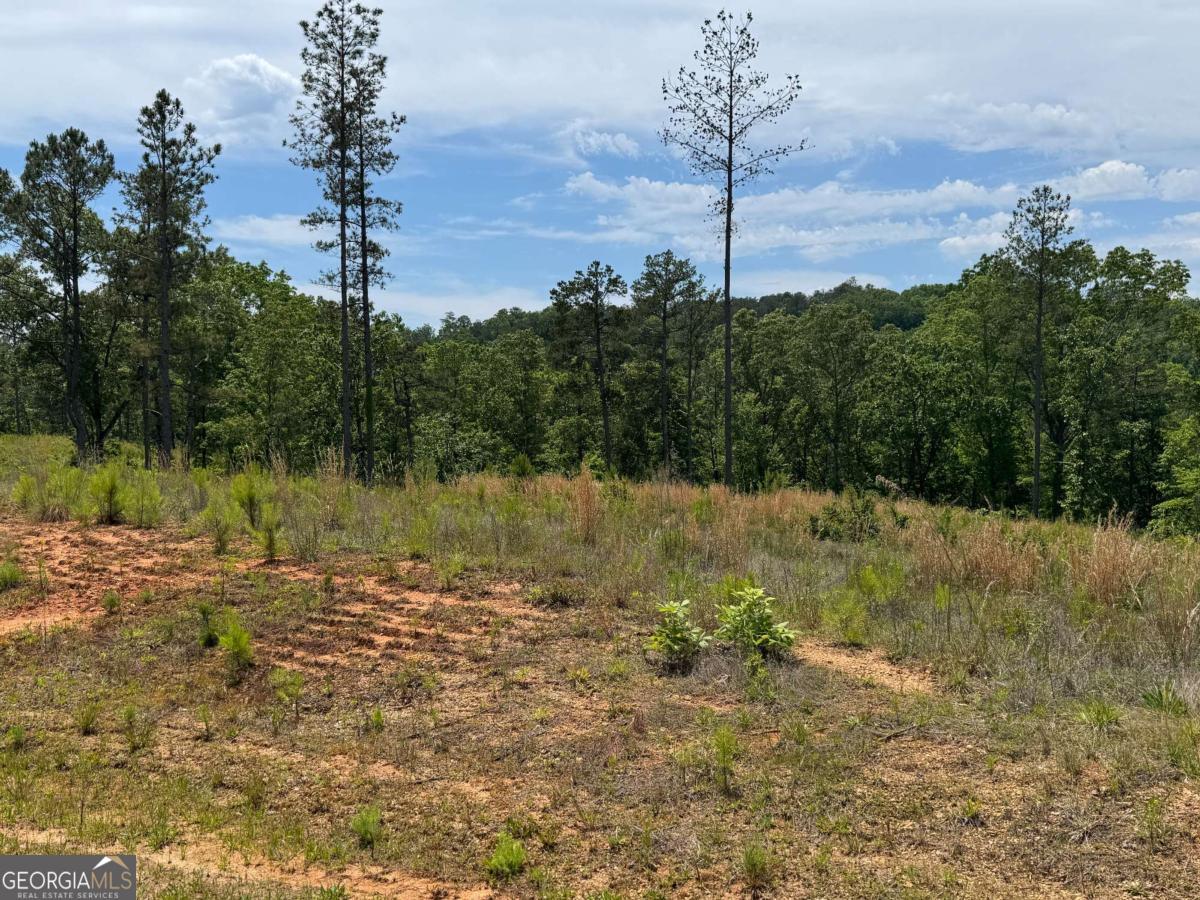 Lot 243 Spear Point Drive Property Photo 4