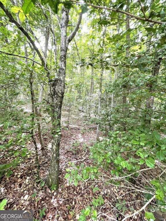 0 Stewart Road Property Photo 5