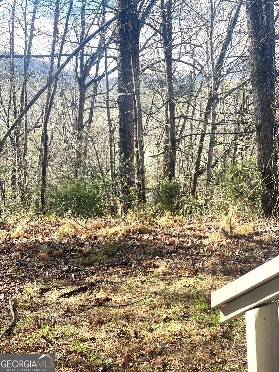 66 Precision Lane Property Photo 18