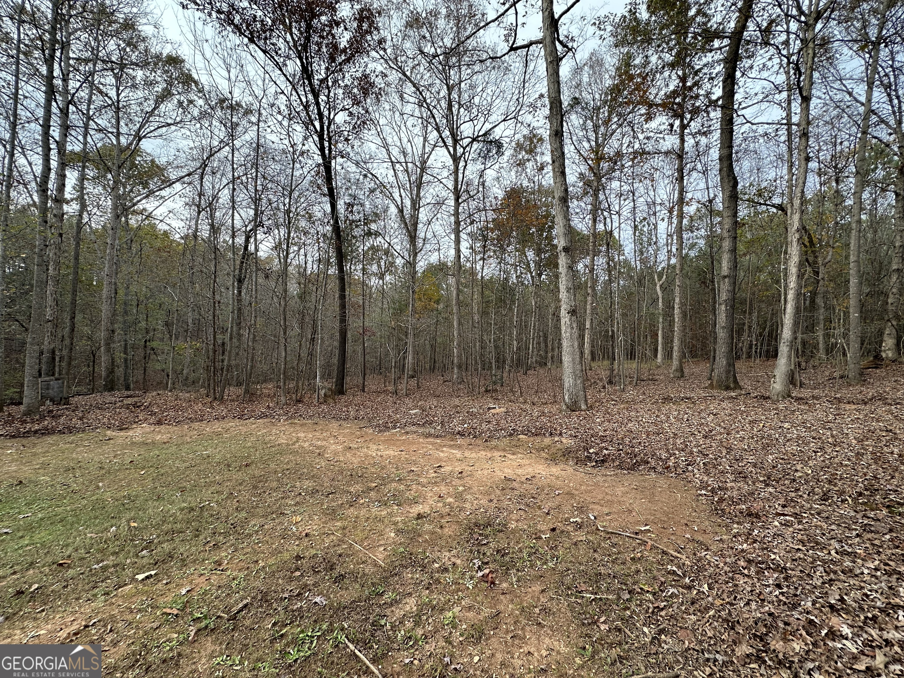 178 Ben Burton Circle Property Photo 6