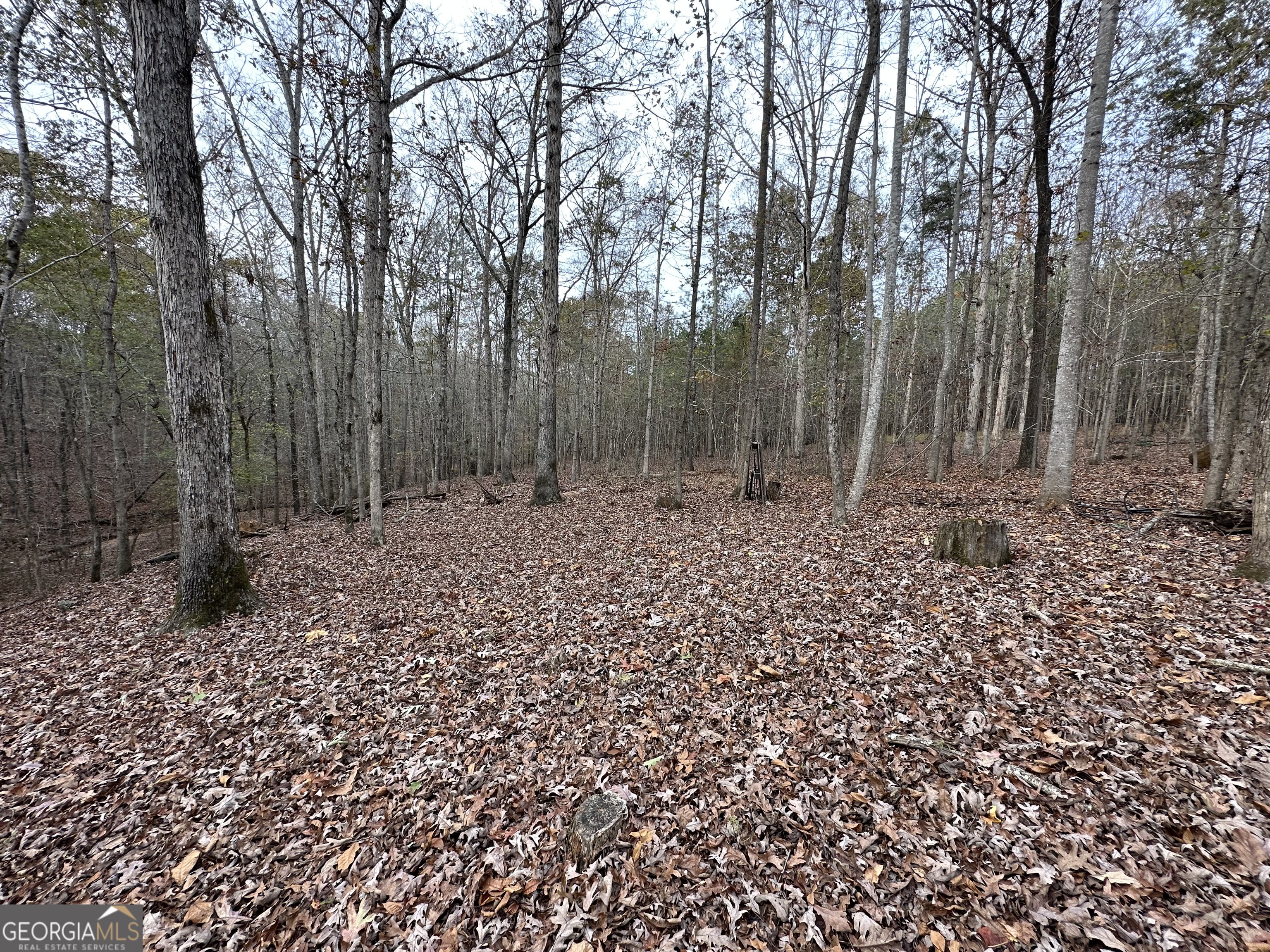178 Ben Burton Circle Property Photo 7