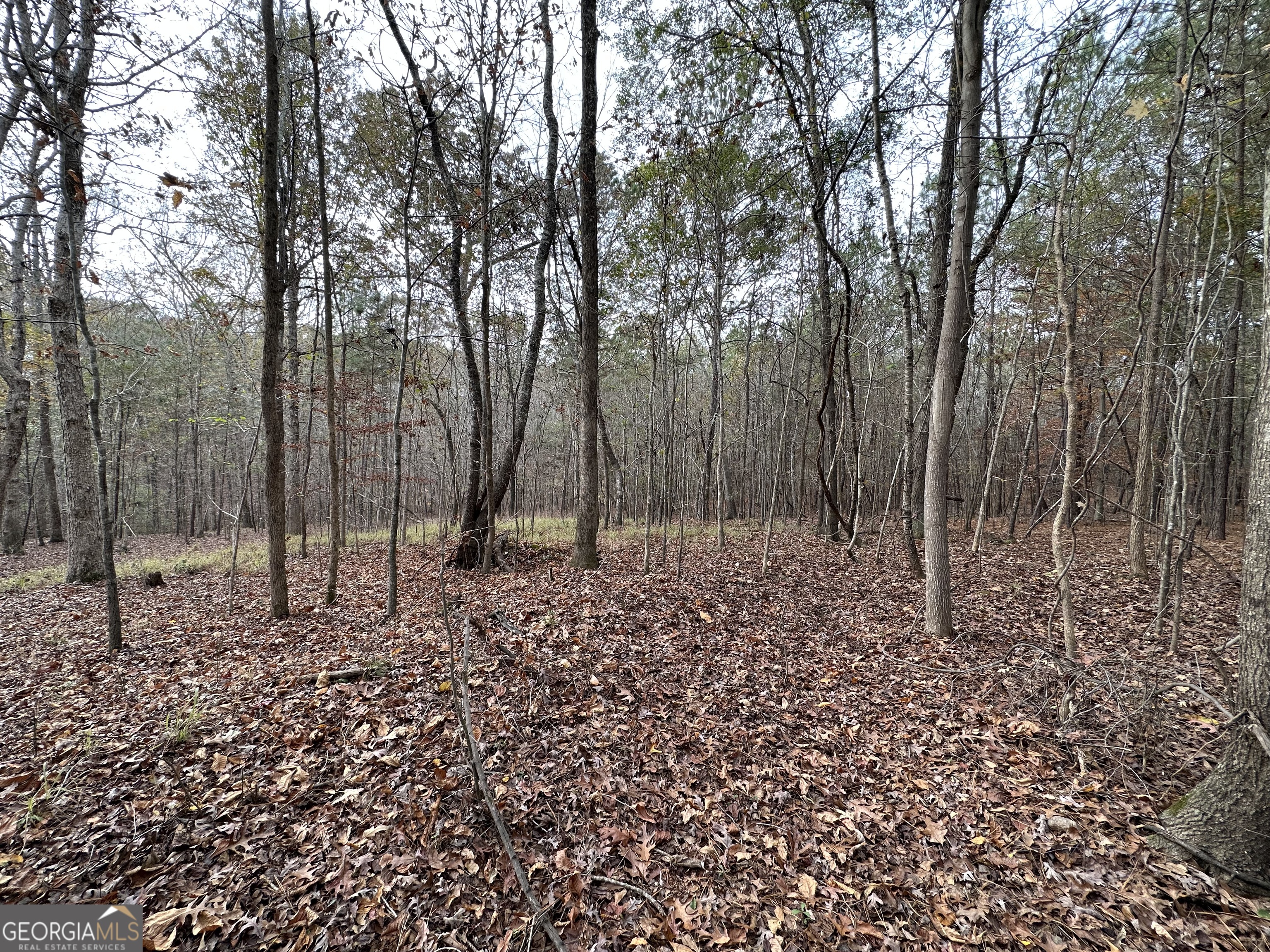 178 Ben Burton Circle Property Photo 10