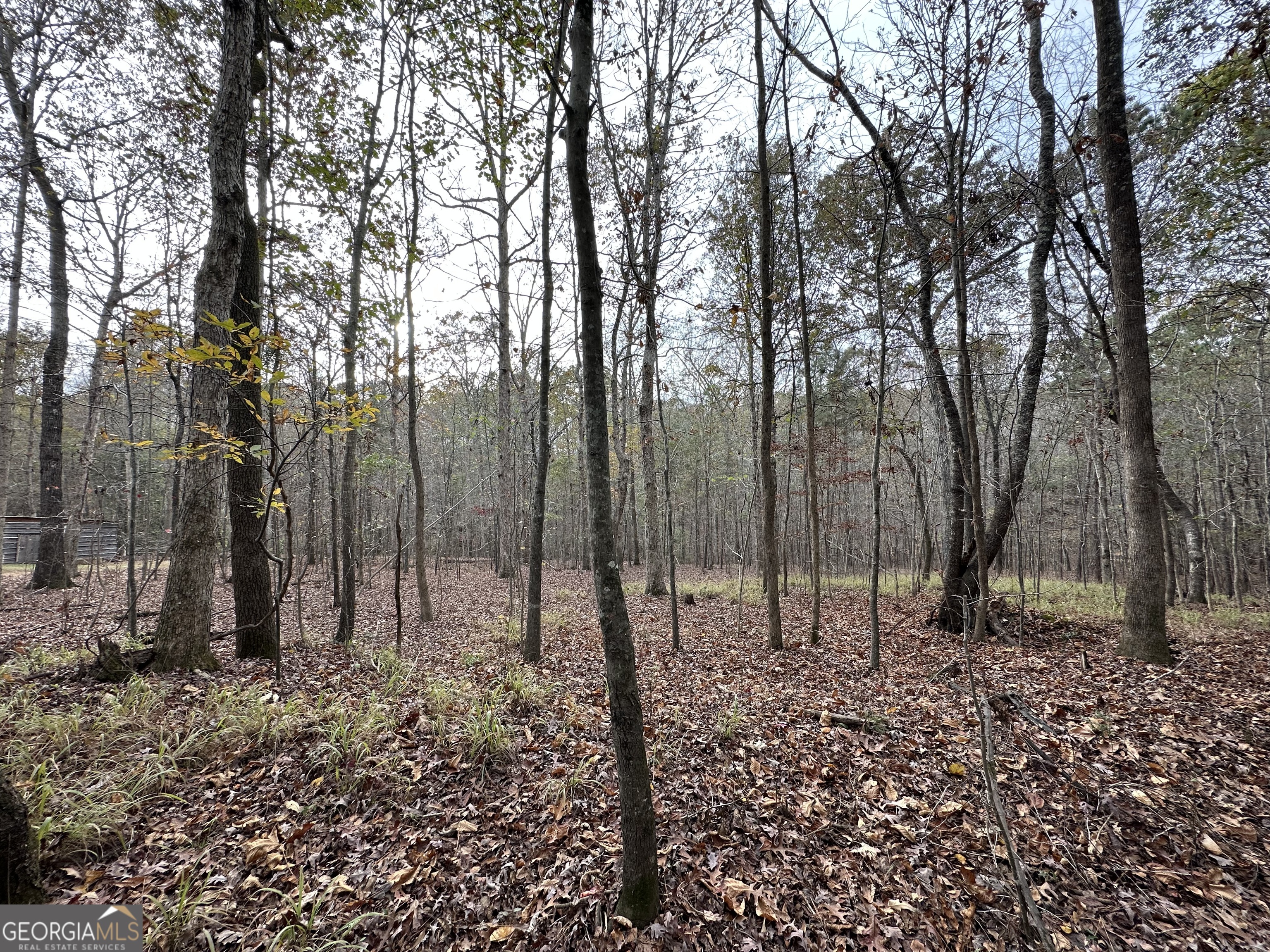 178 Ben Burton Circle Property Photo 11