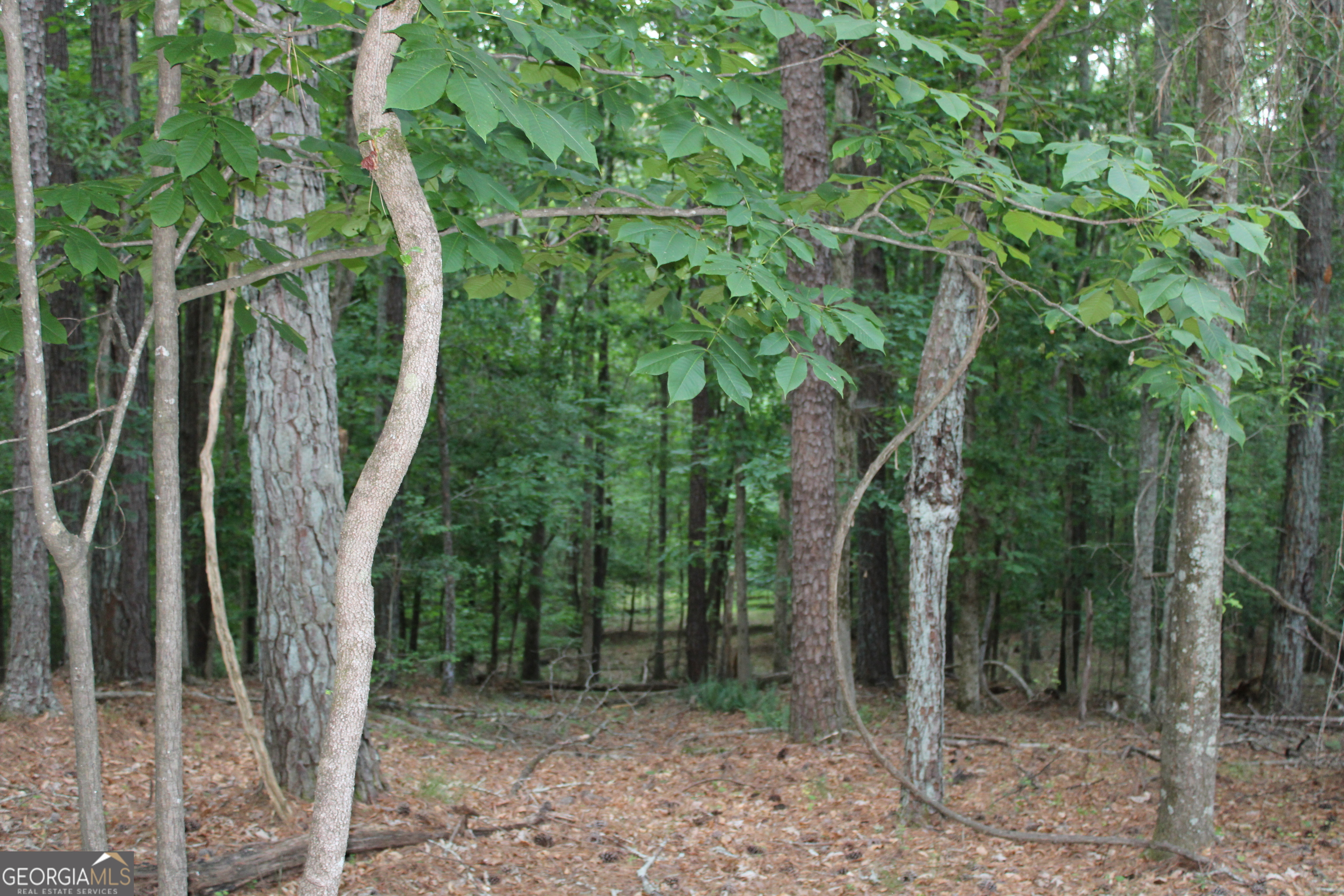 1 Mount Moriah Road Property Photo 6