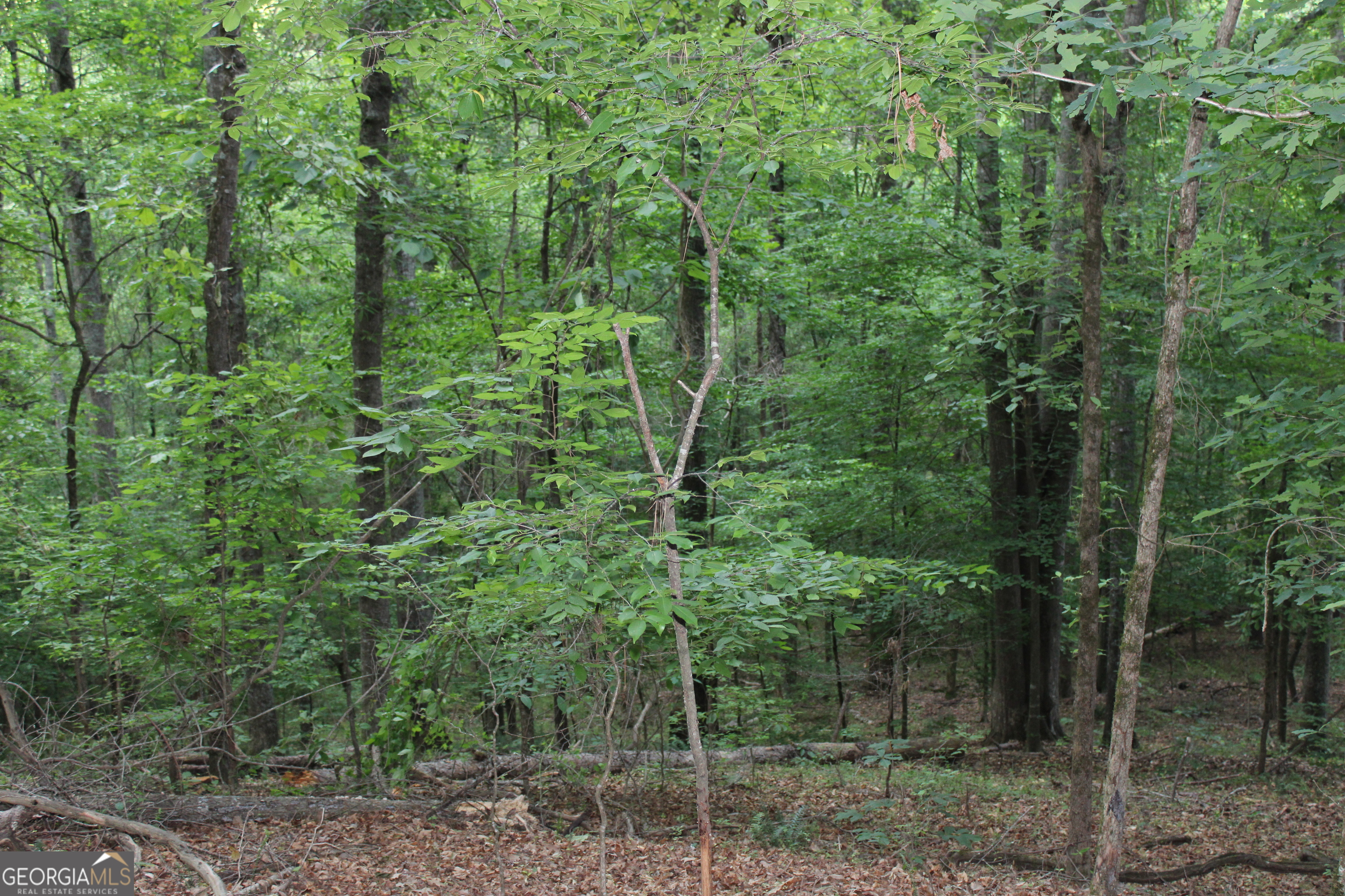 1 Mount Moriah Road Property Photo 9