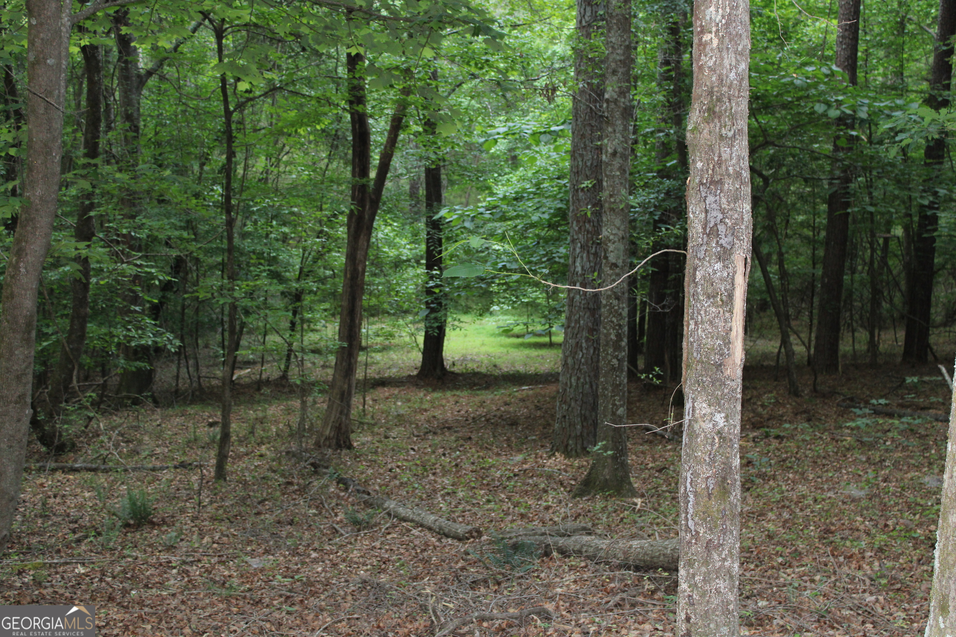 1 Mount Moriah Road Property Photo 12