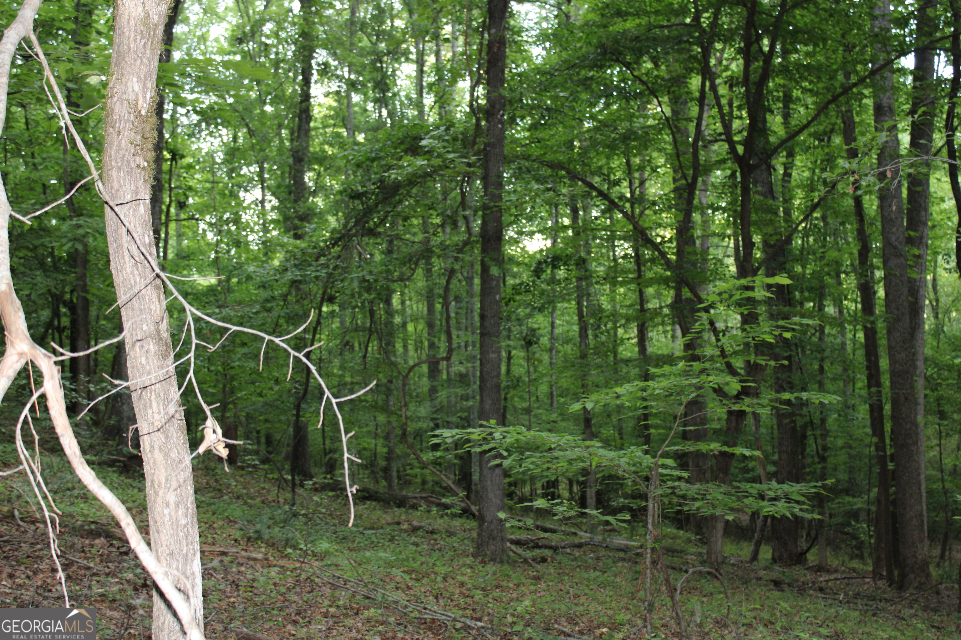 1 Mount Moriah Road Property Photo 14