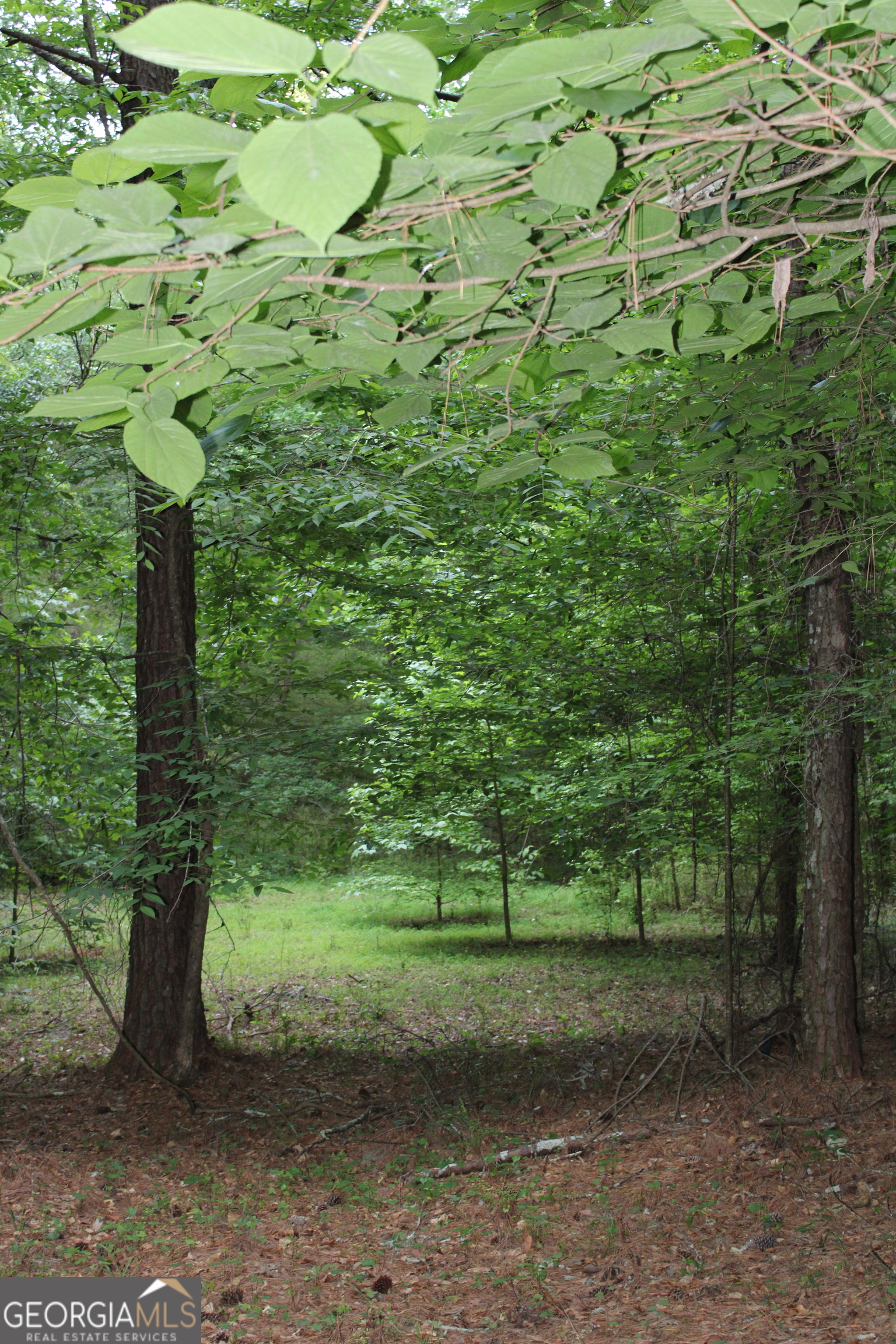 1 Mount Moriah Road Property Photo 15
