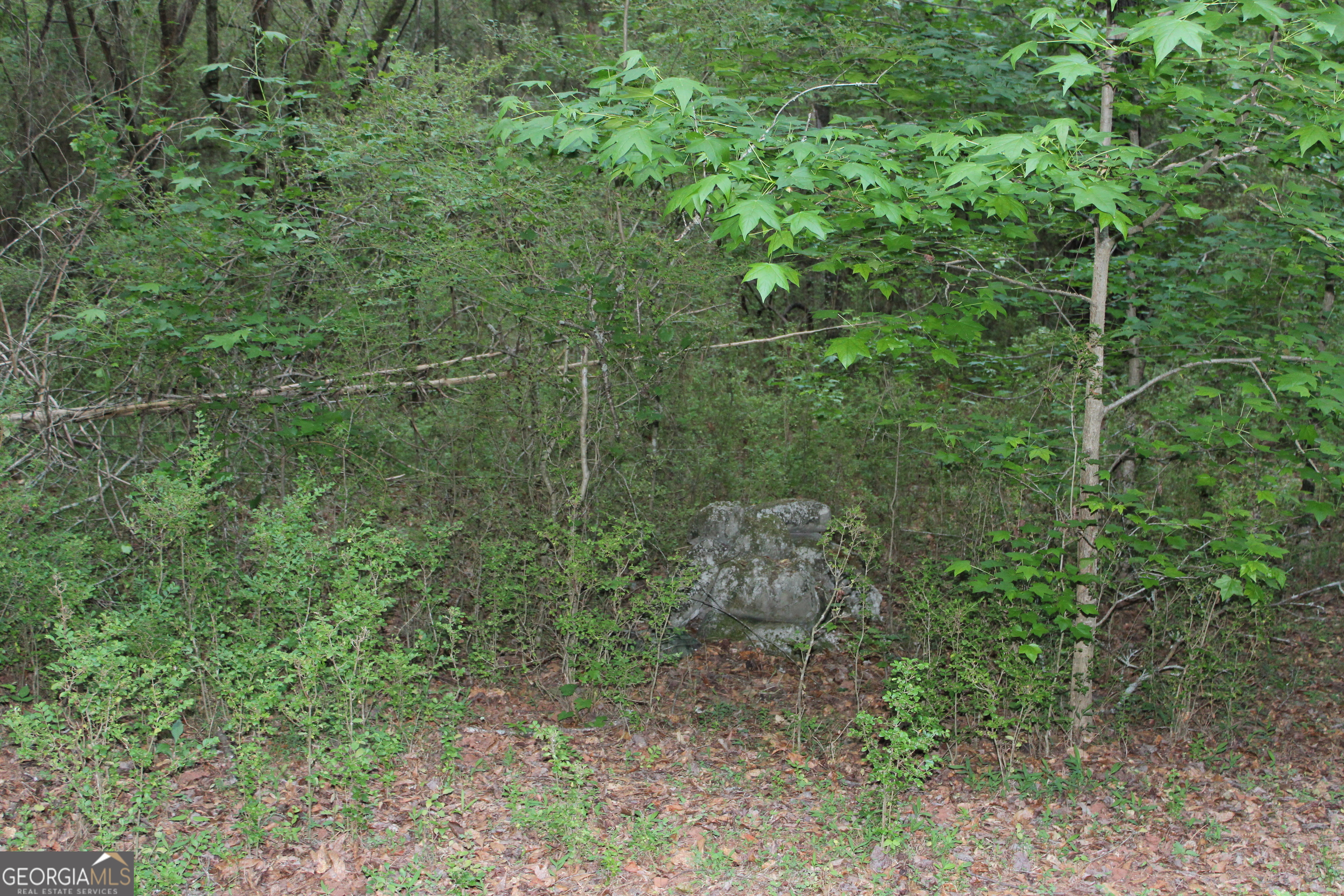 1 Mount Moriah Road Property Photo 16