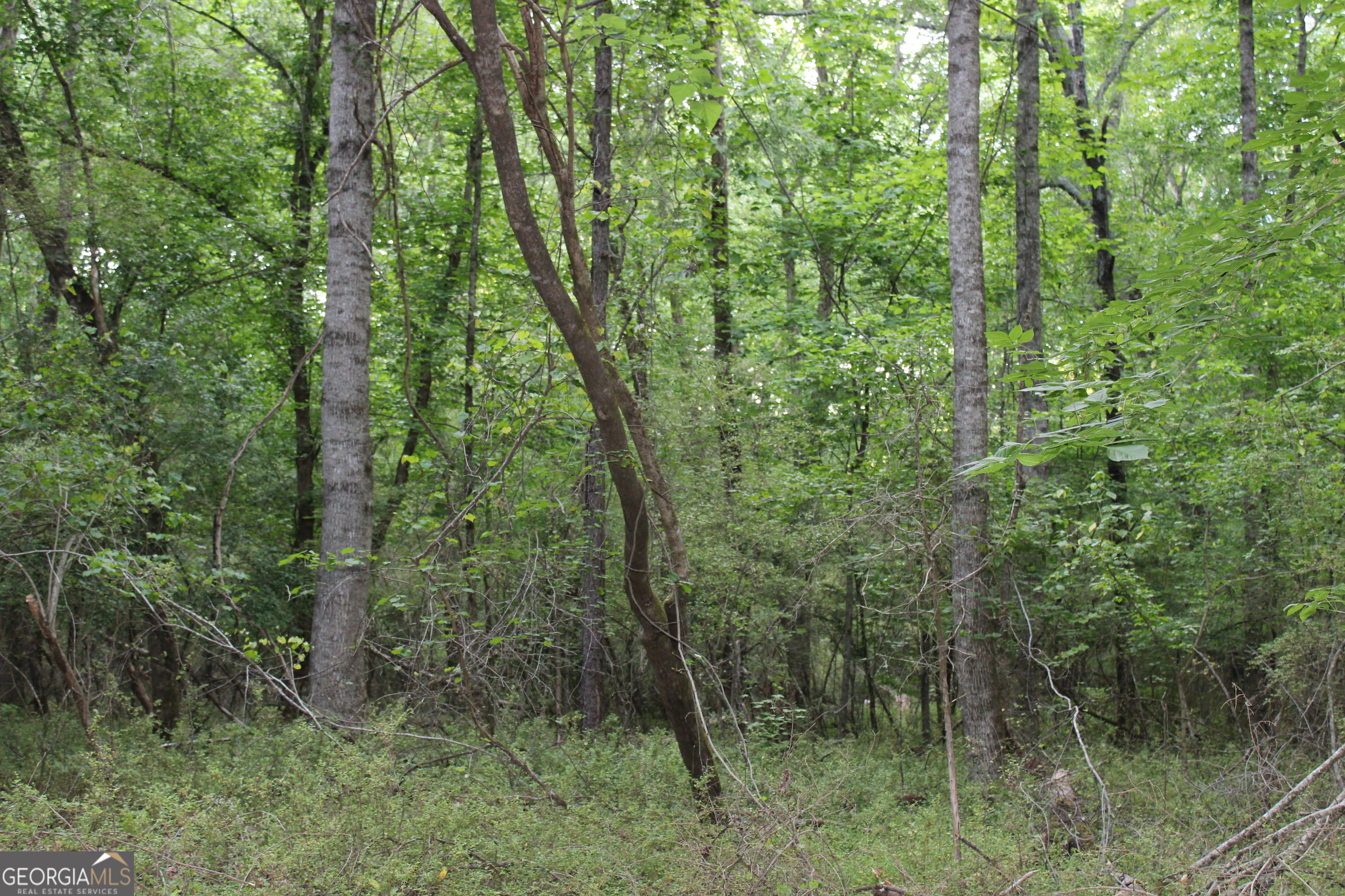 1 Mount Moriah Road Property Photo 17