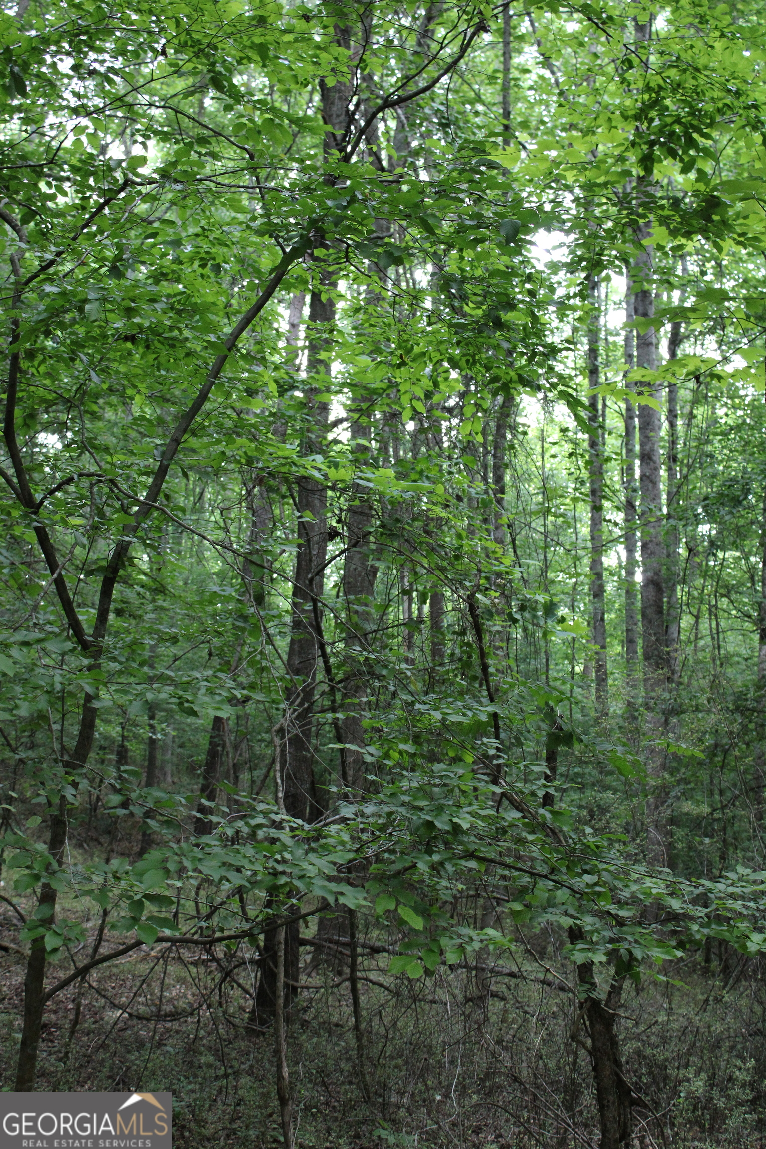 1 Mount Moriah Road Property Photo 26