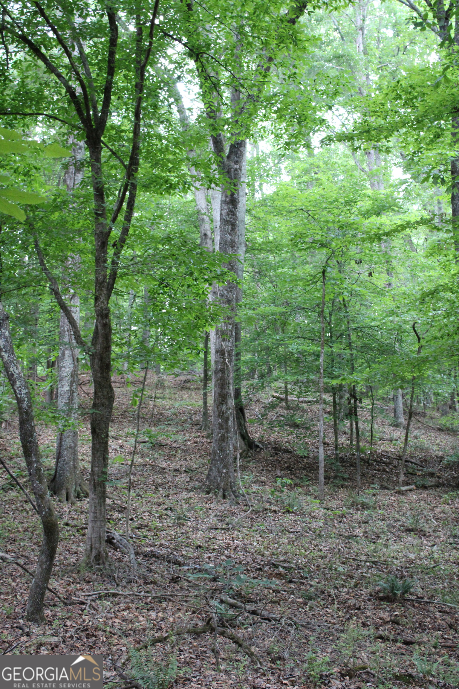 1 Mount Moriah Road Property Photo 27