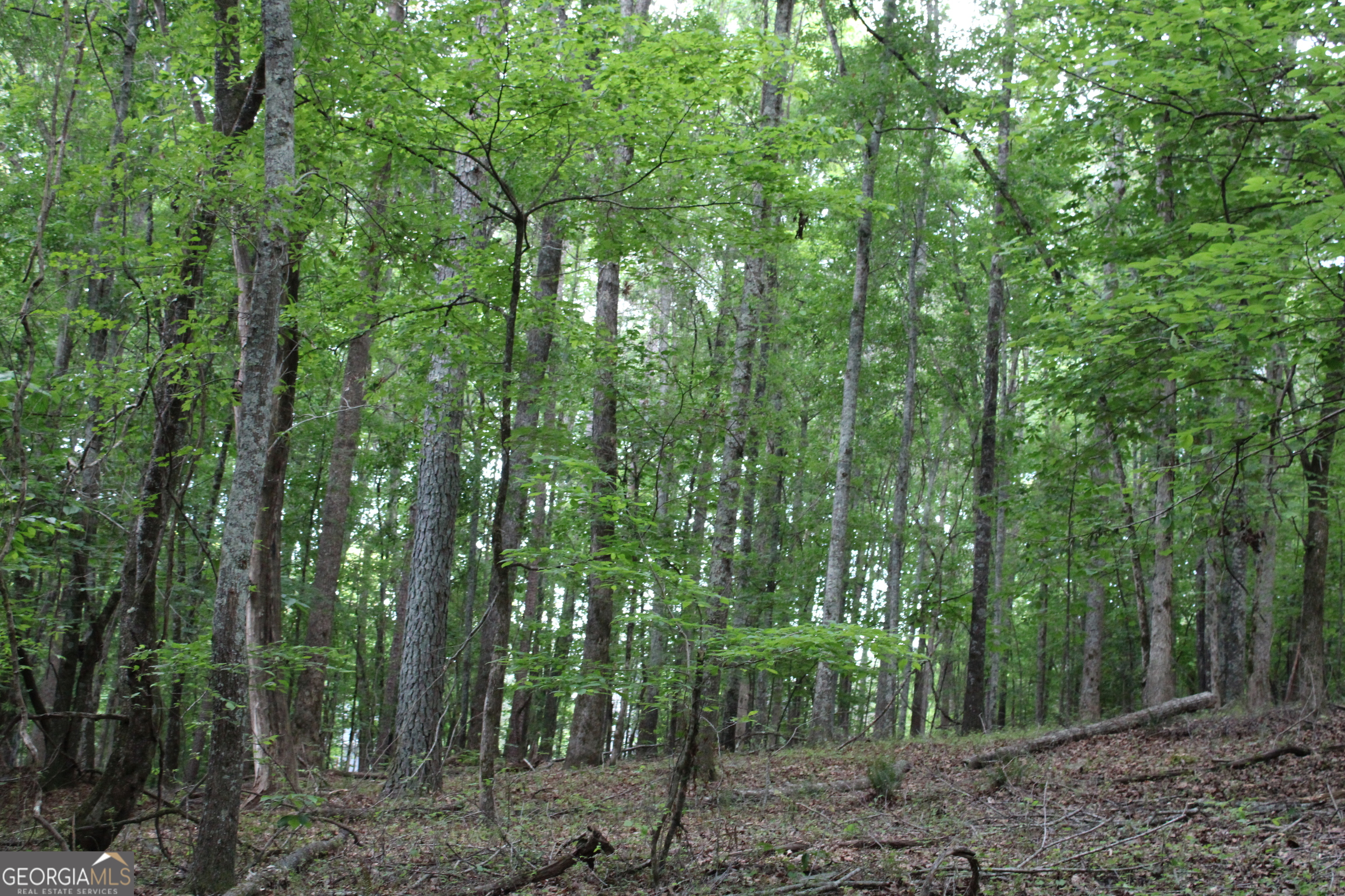 1 Mount Moriah Road Property Photo 28