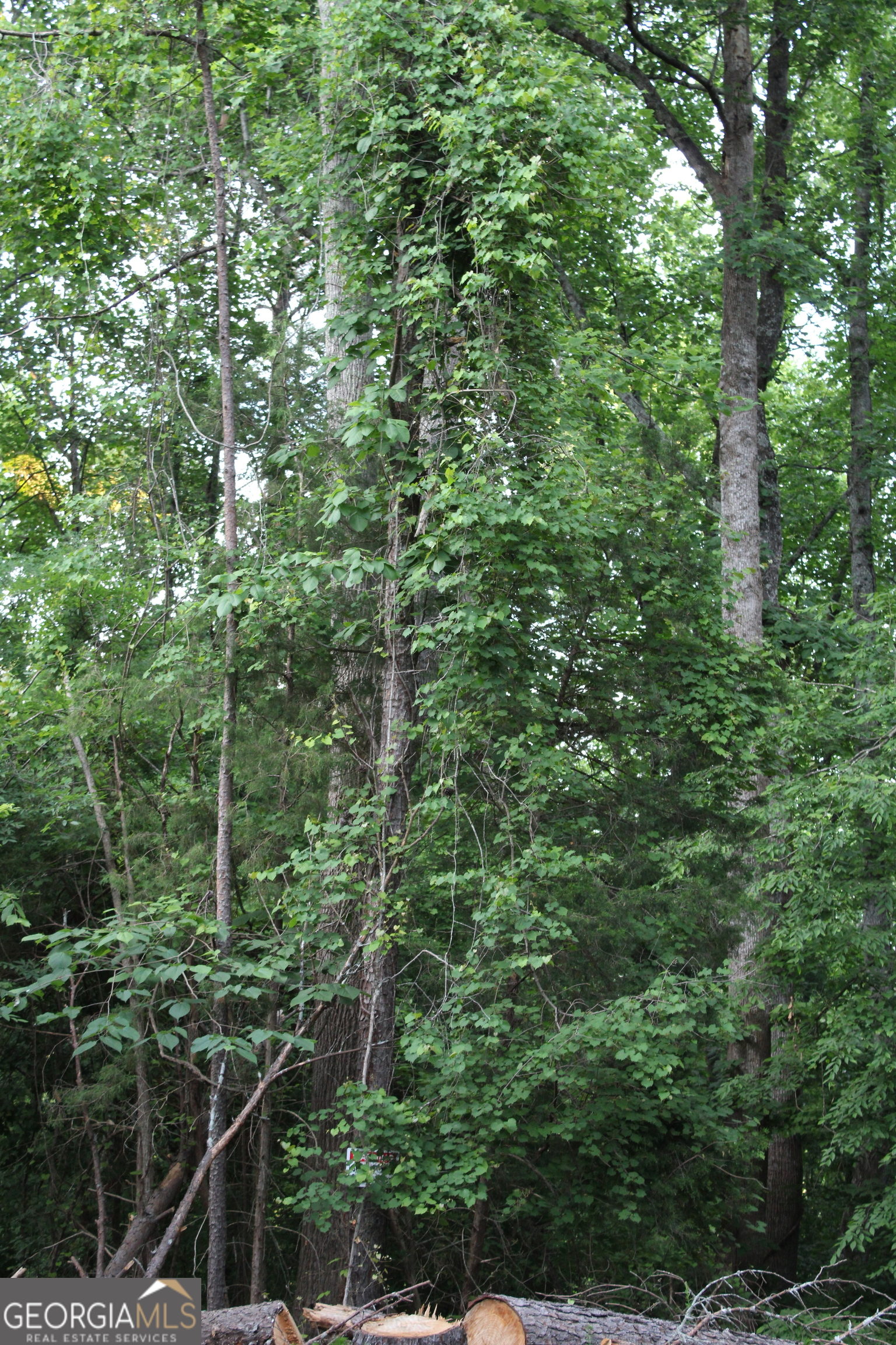 1 Mount Moriah Road Property Photo 32