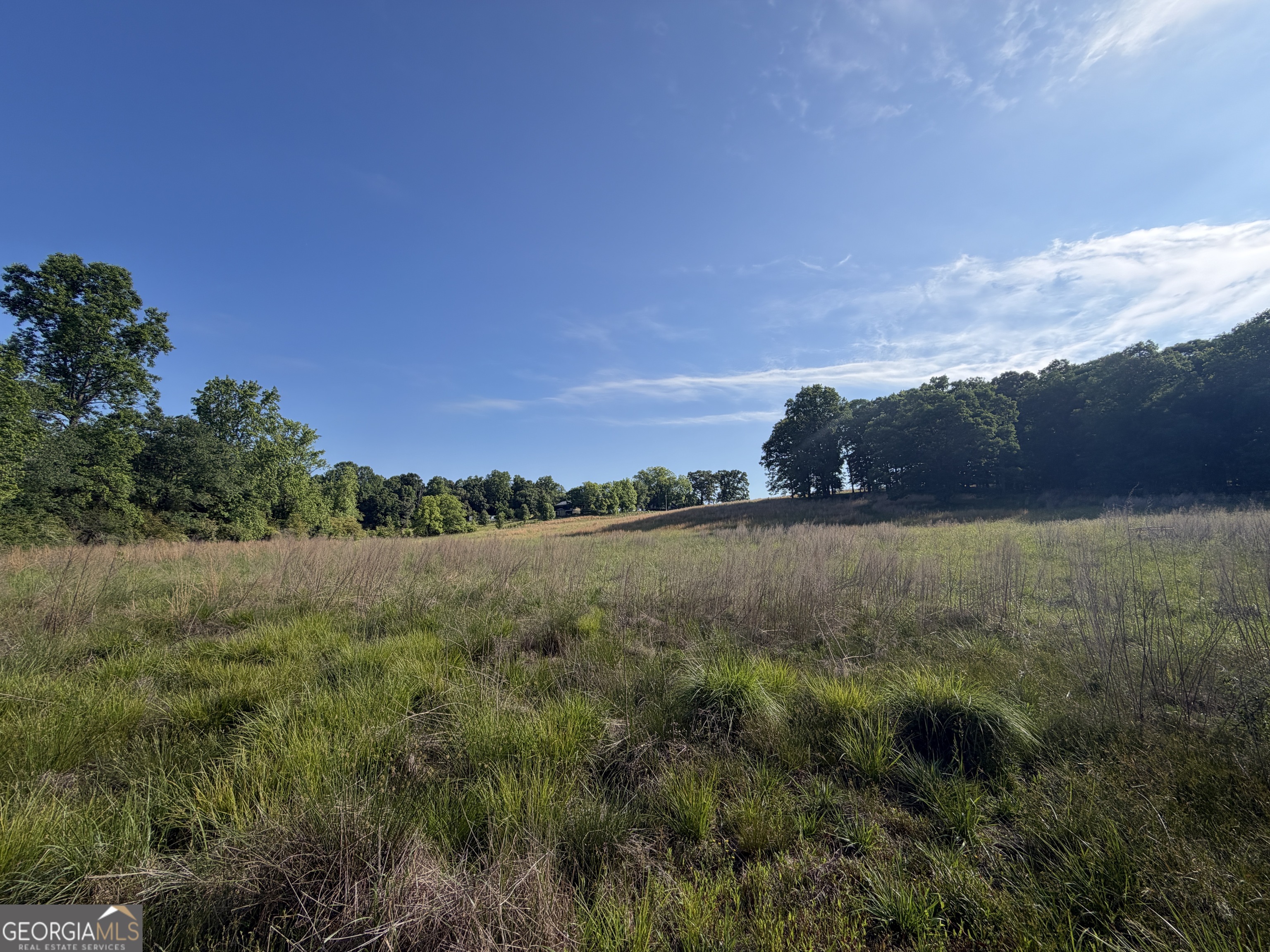 0 Jim Thomas Road Property Photo 19