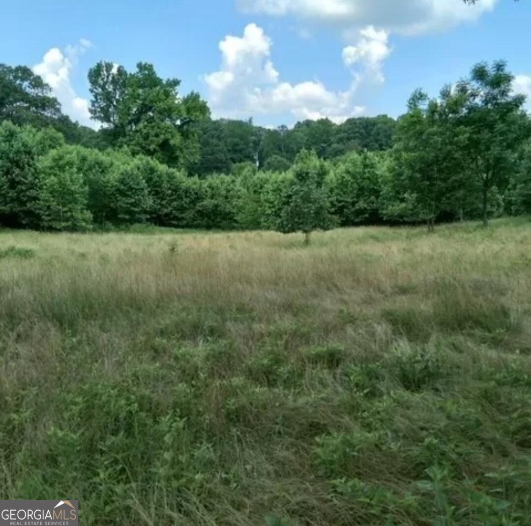 670 Cedar Grove Church Road Property Photo 49