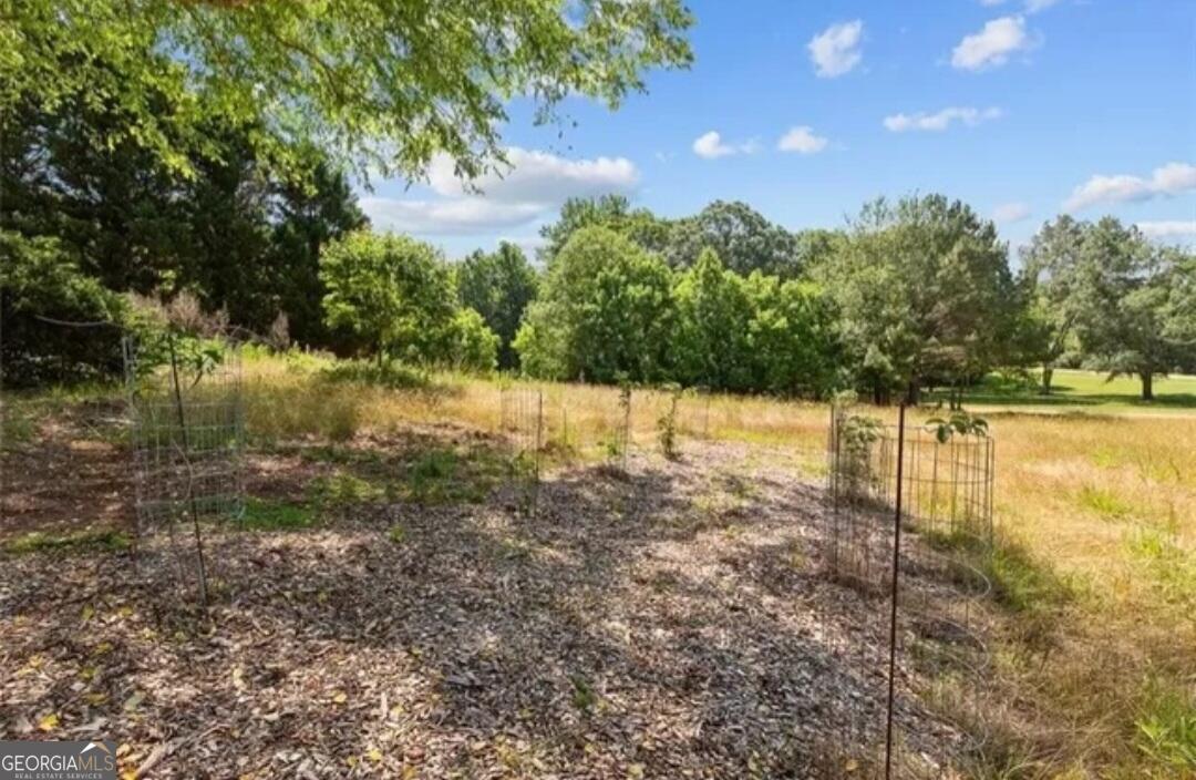 670 Cedar Grove Church Road Property Photo 52