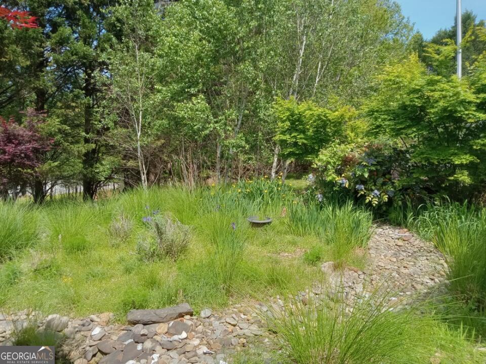 670 Cedar Grove Church Road Property Photo 58
