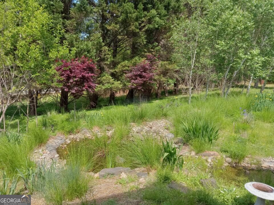 670 Cedar Grove Church Road Property Photo 60