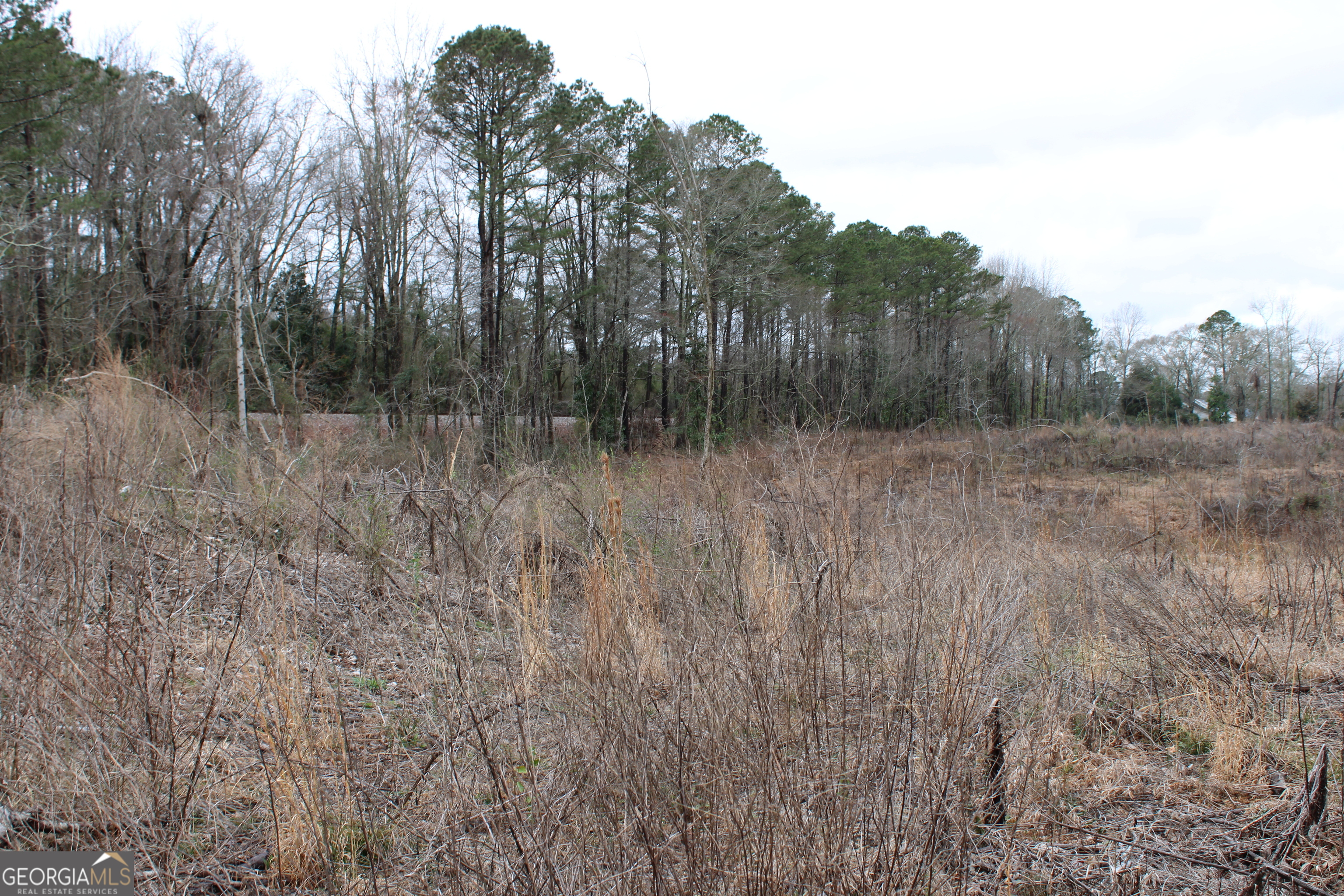 1262 Highway 16 E Property Photo 8