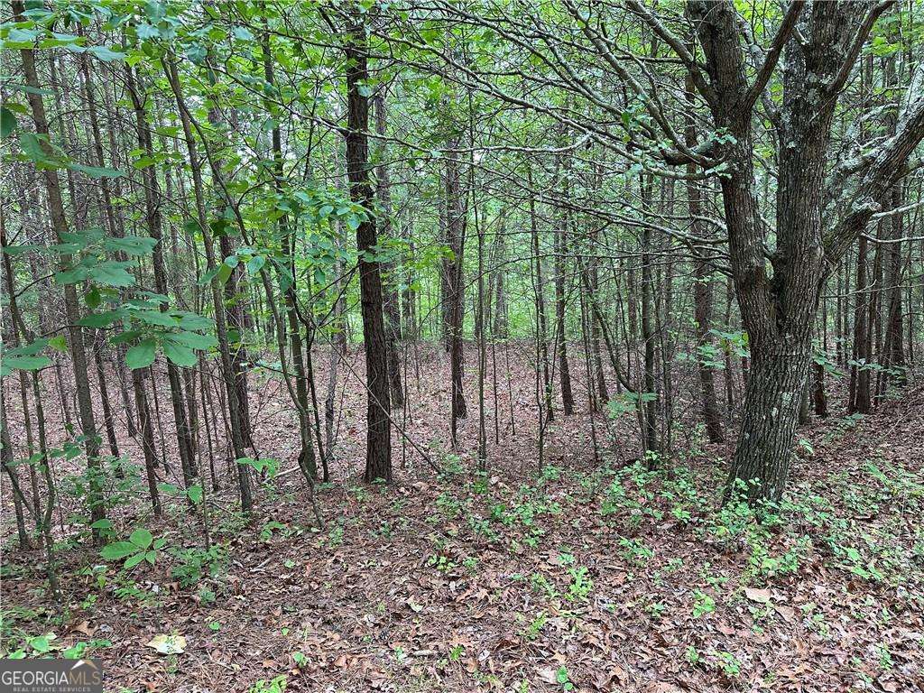 585 Galaxy Way Property Photo 3