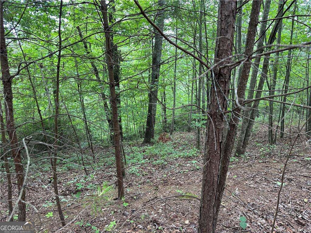 585 Galaxy Way Property Photo 5