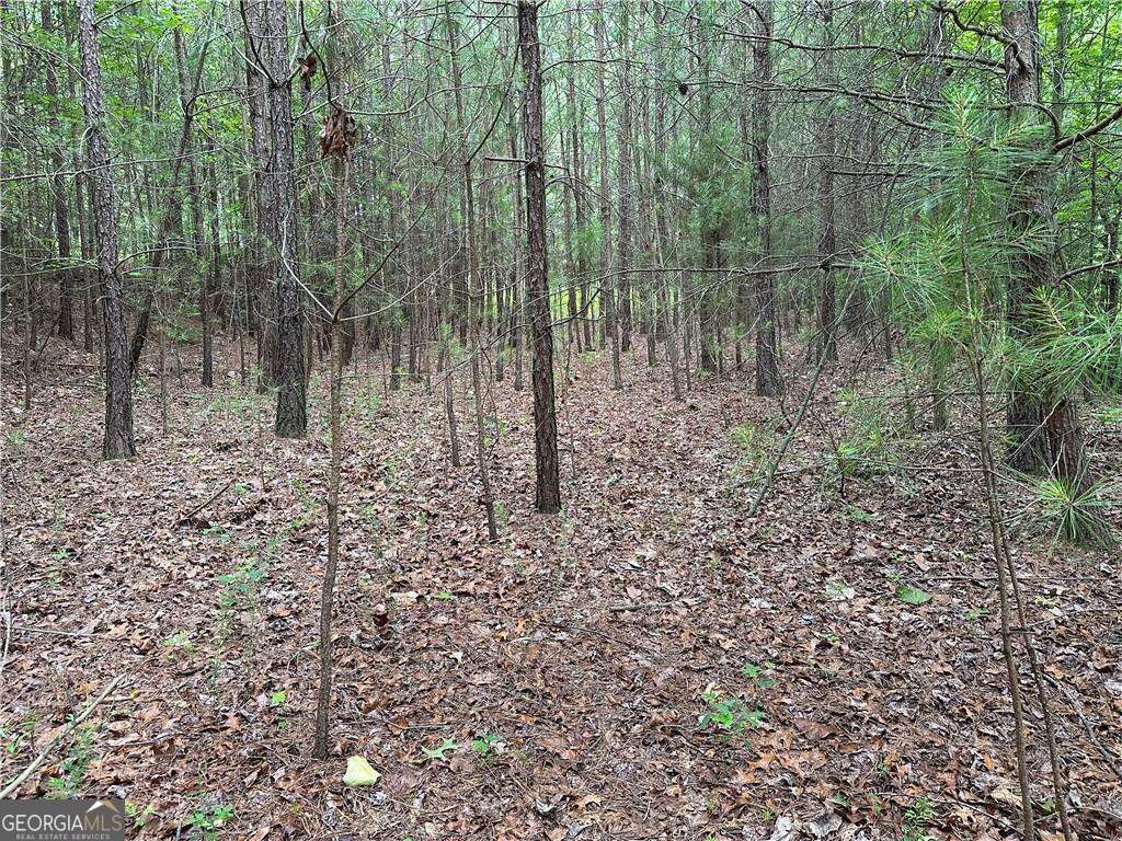 585 Galaxy Way Property Photo 6
