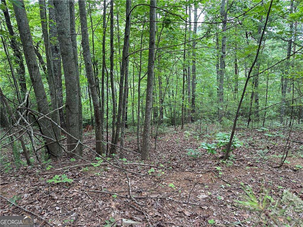 585 Galaxy Way Property Photo 7