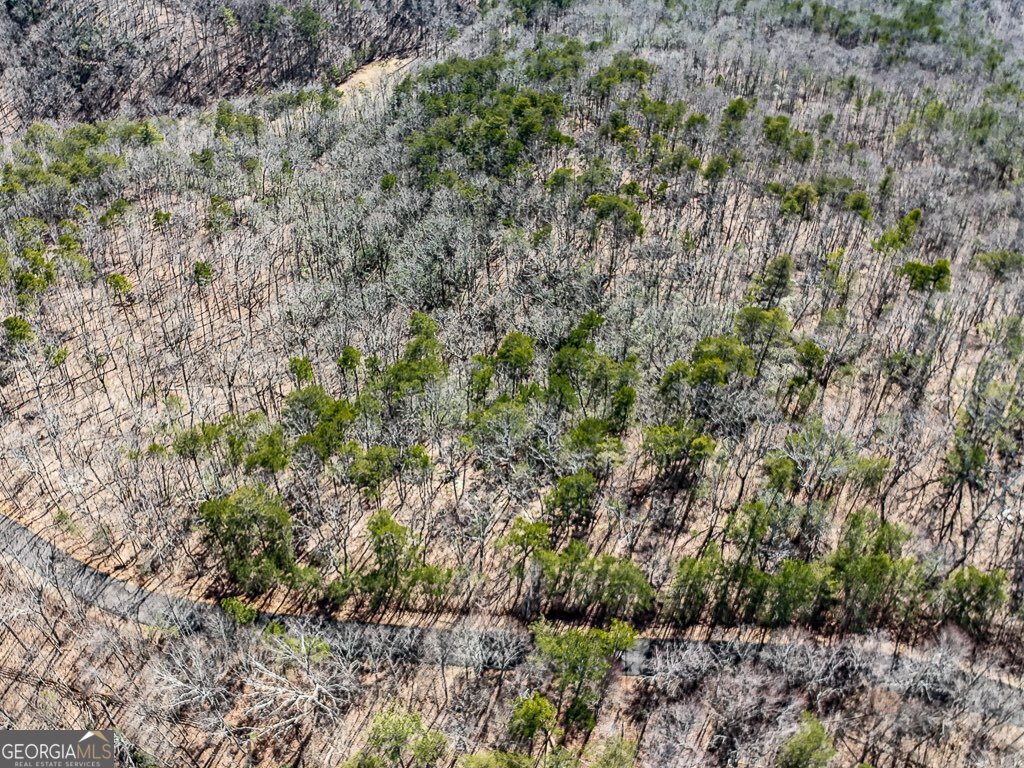 0 Outback Road # 87 Property Photo 3