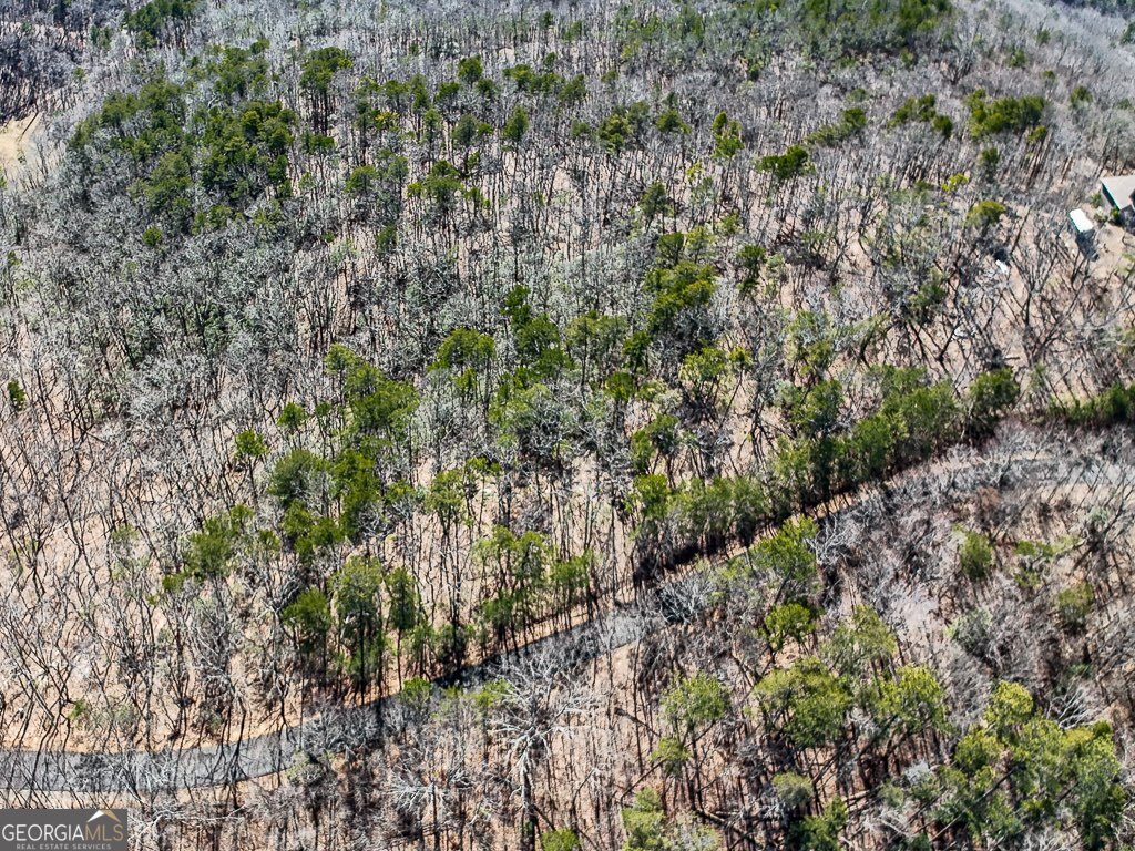 0 Outback Road # 87 Property Photo 4