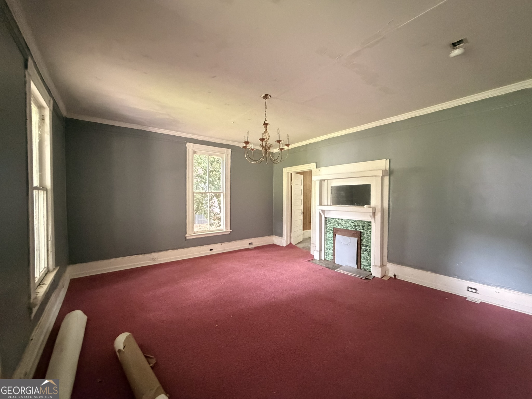 215 Frobel Street Property Photo 16