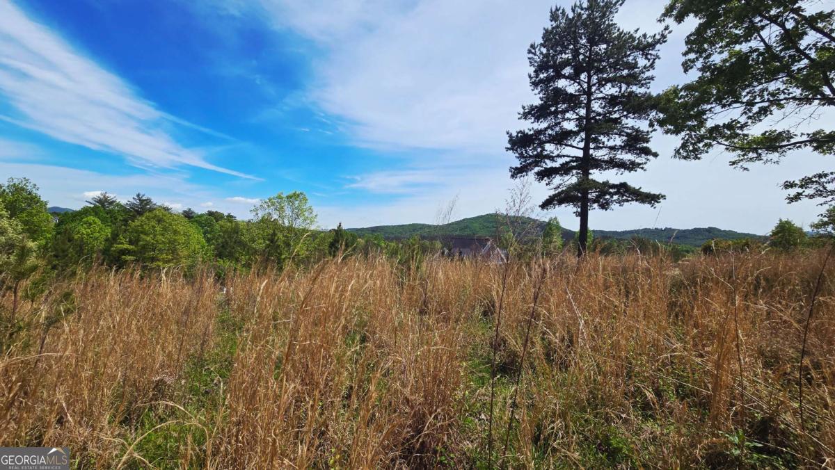LOT 48 Water Oak Lane Property Photo 1