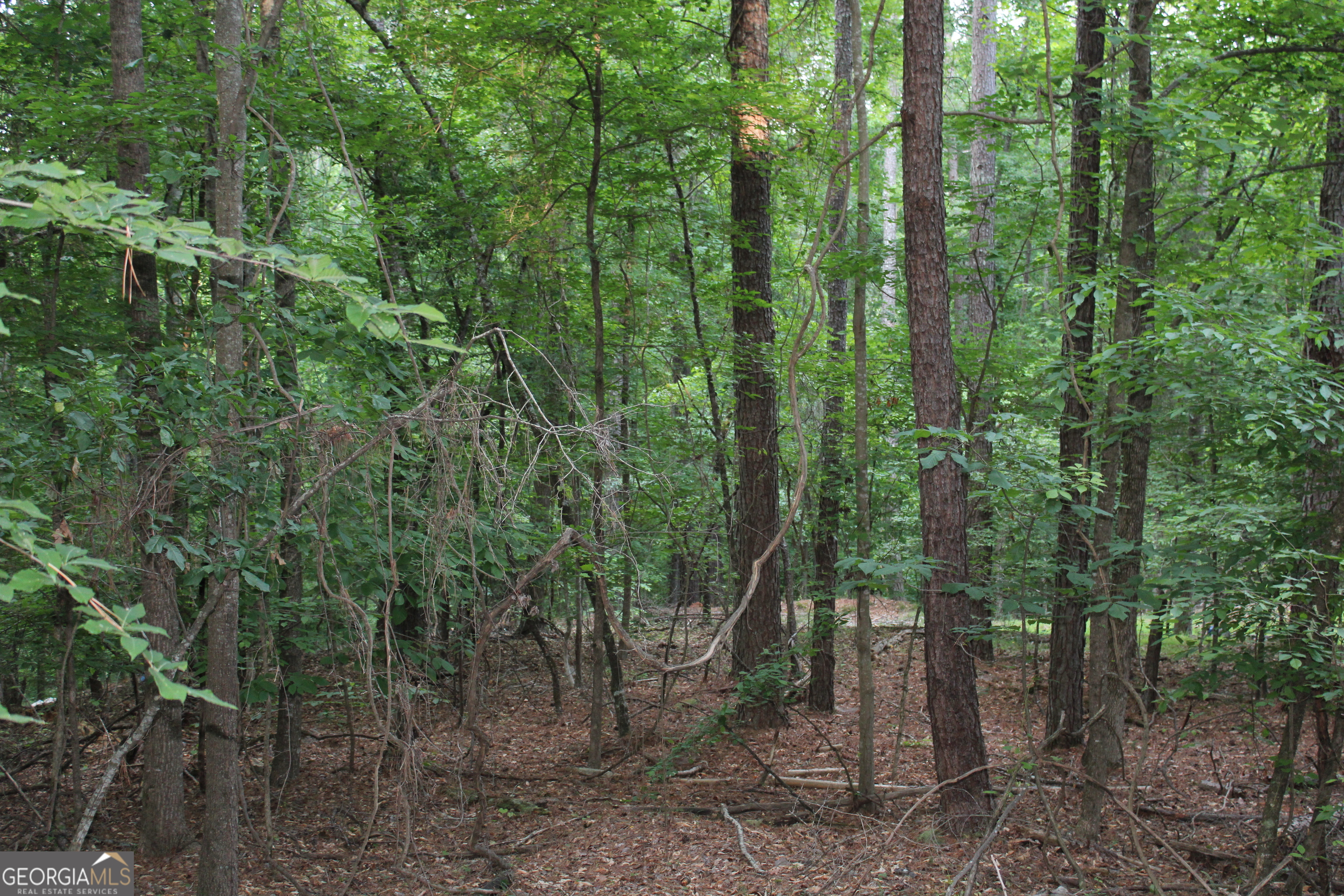 3 Mount Moriah Road Property Photo 1