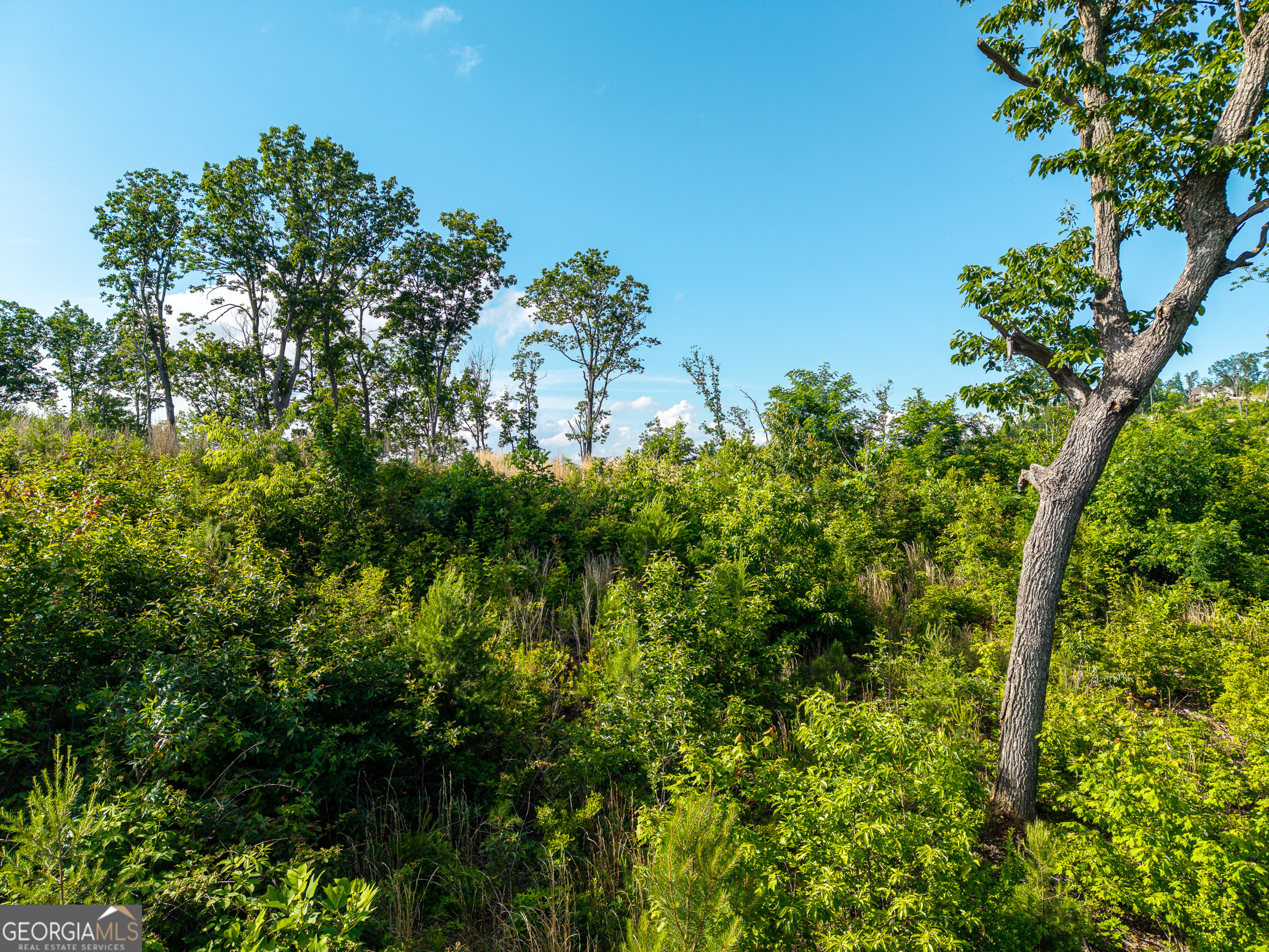 Lot 234 Highgrove Drive Property Photo 13