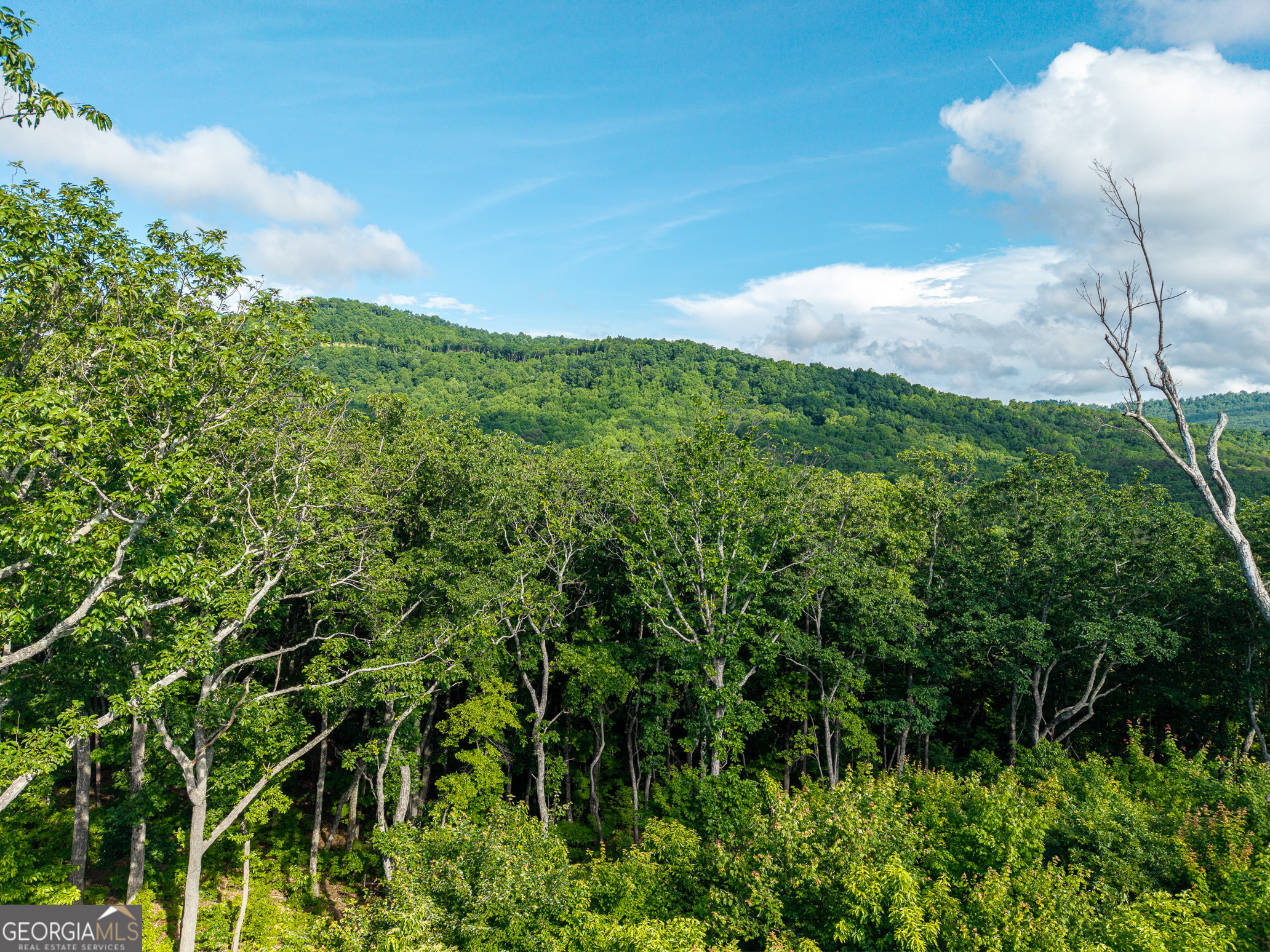 Lot 234 Highgrove Drive Property Photo 15
