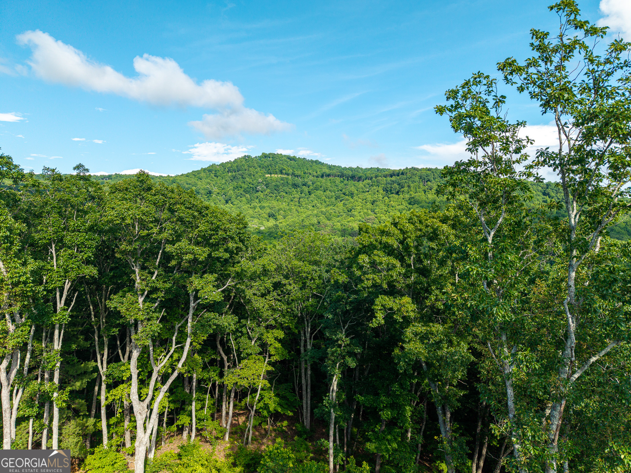 Lot 234 Highgrove Drive Property Photo 16