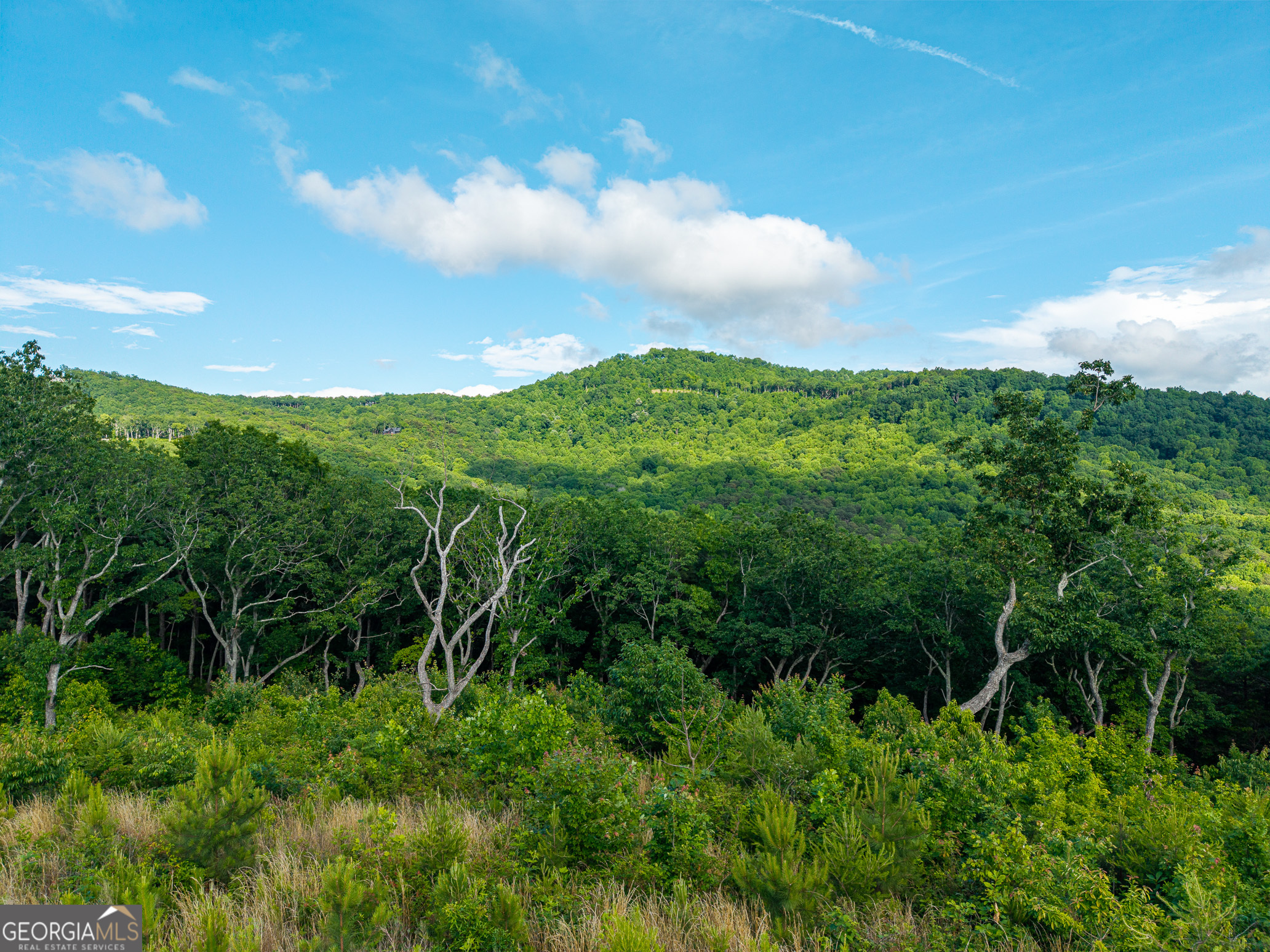 Lot 234 Highgrove Drive Property Photo 18